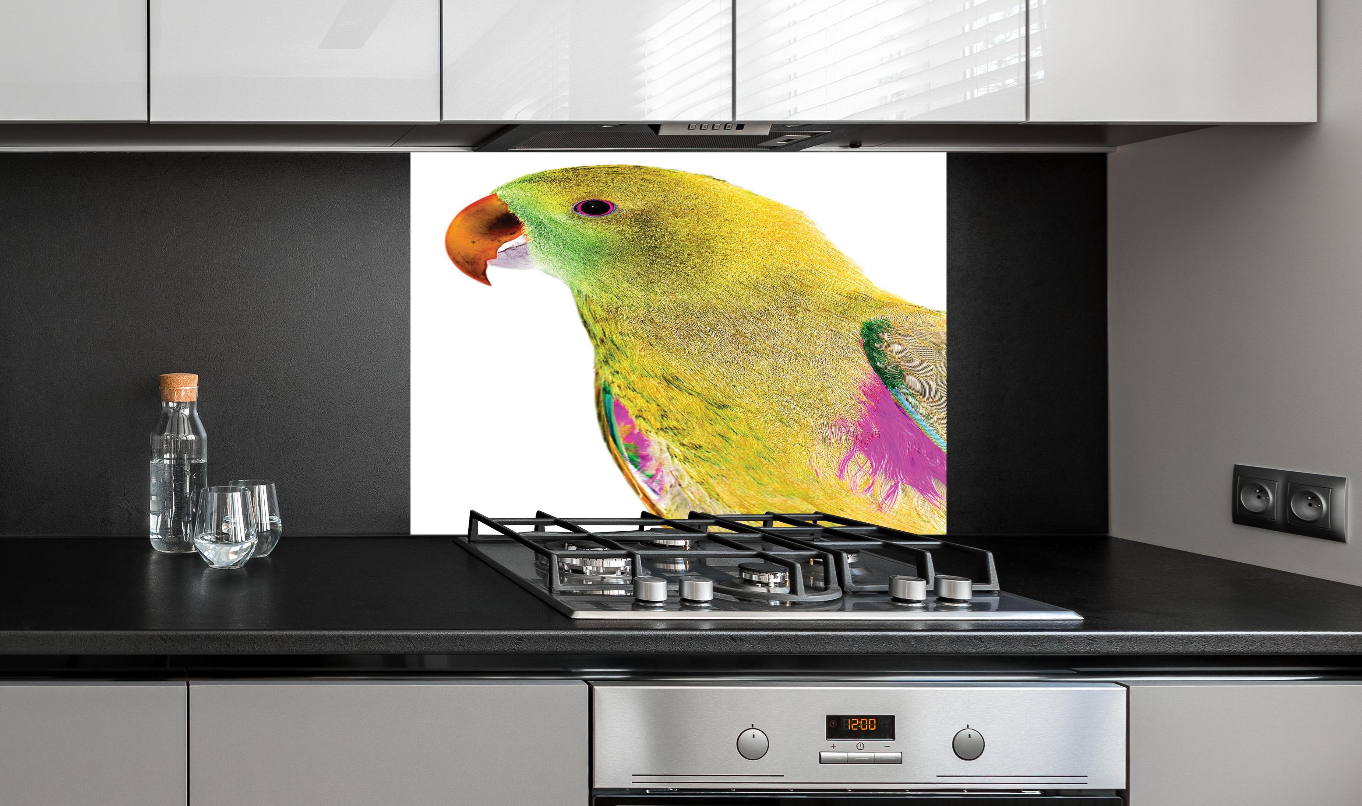 Spritzschutz - Papagei - Nahaufnahme hinter einem Cerankochfeld zwischen Holz-Kochutensilien