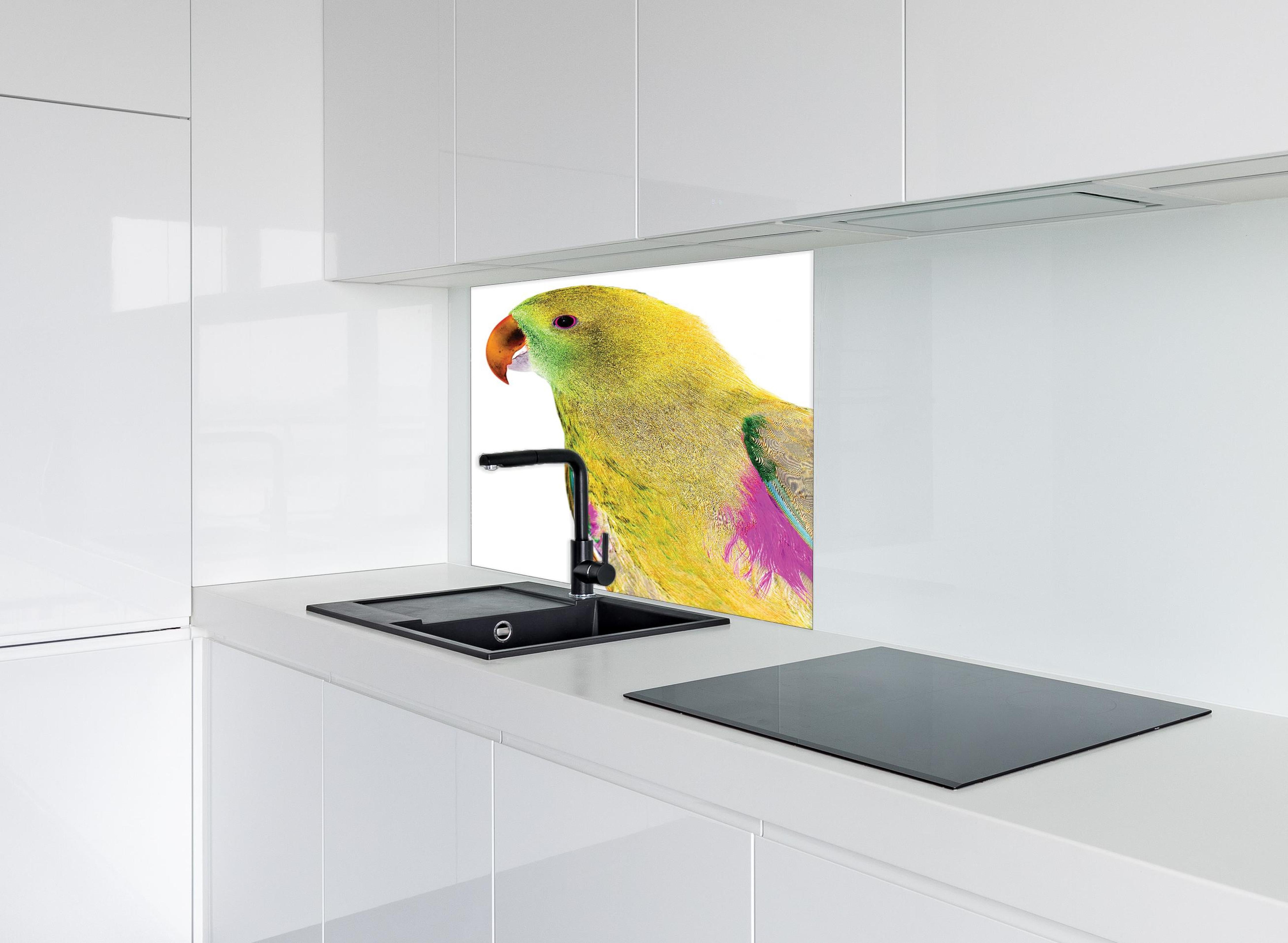 Spritzschutz - Papagei - Nahaufnahme hinter einem Cerankochfeld zwischen Holz-Kochutensilien