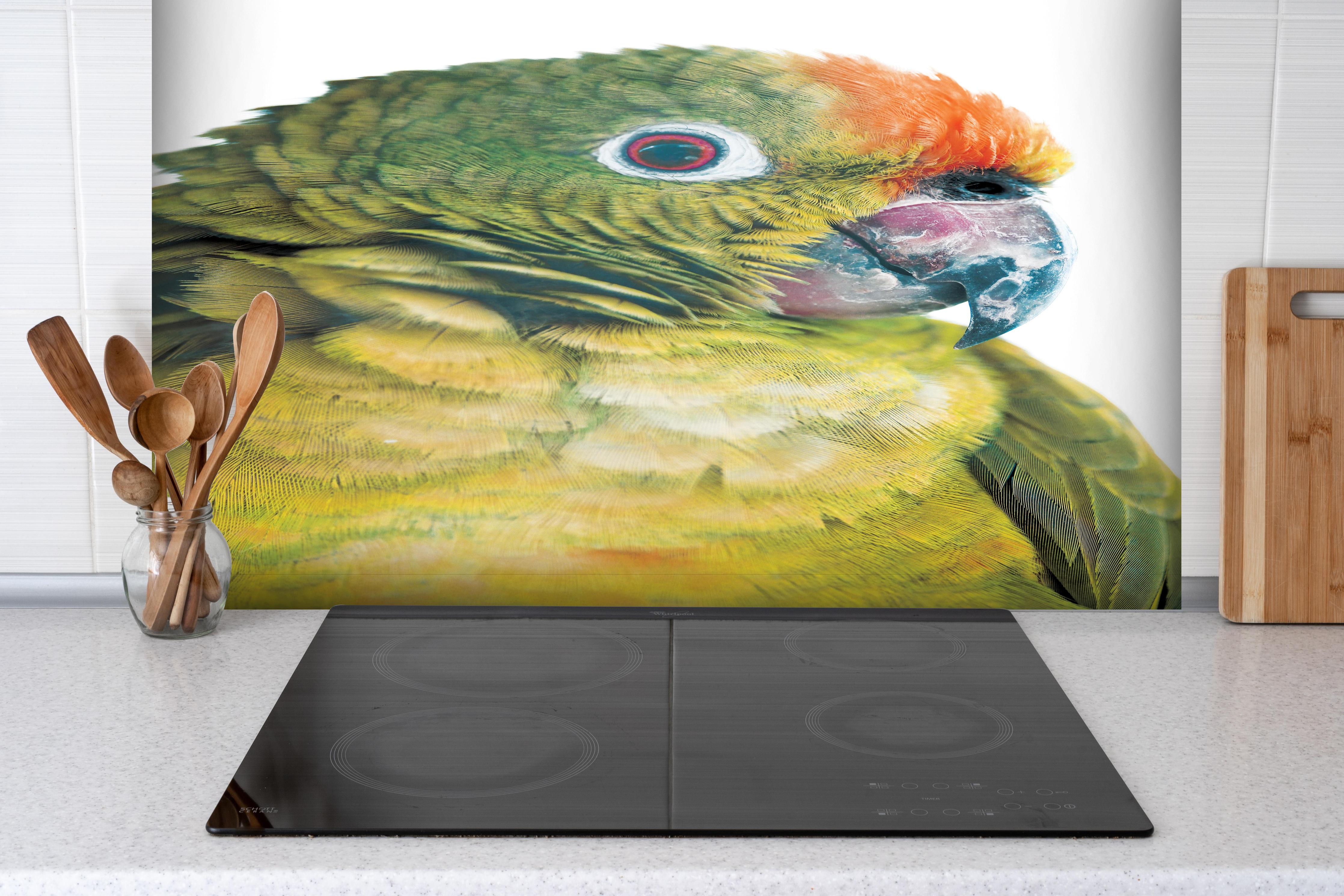 Spritzschutz - Papagei - Nahaufname hinter einem Cerankochfeld zwischen Holz-Kochutensilien