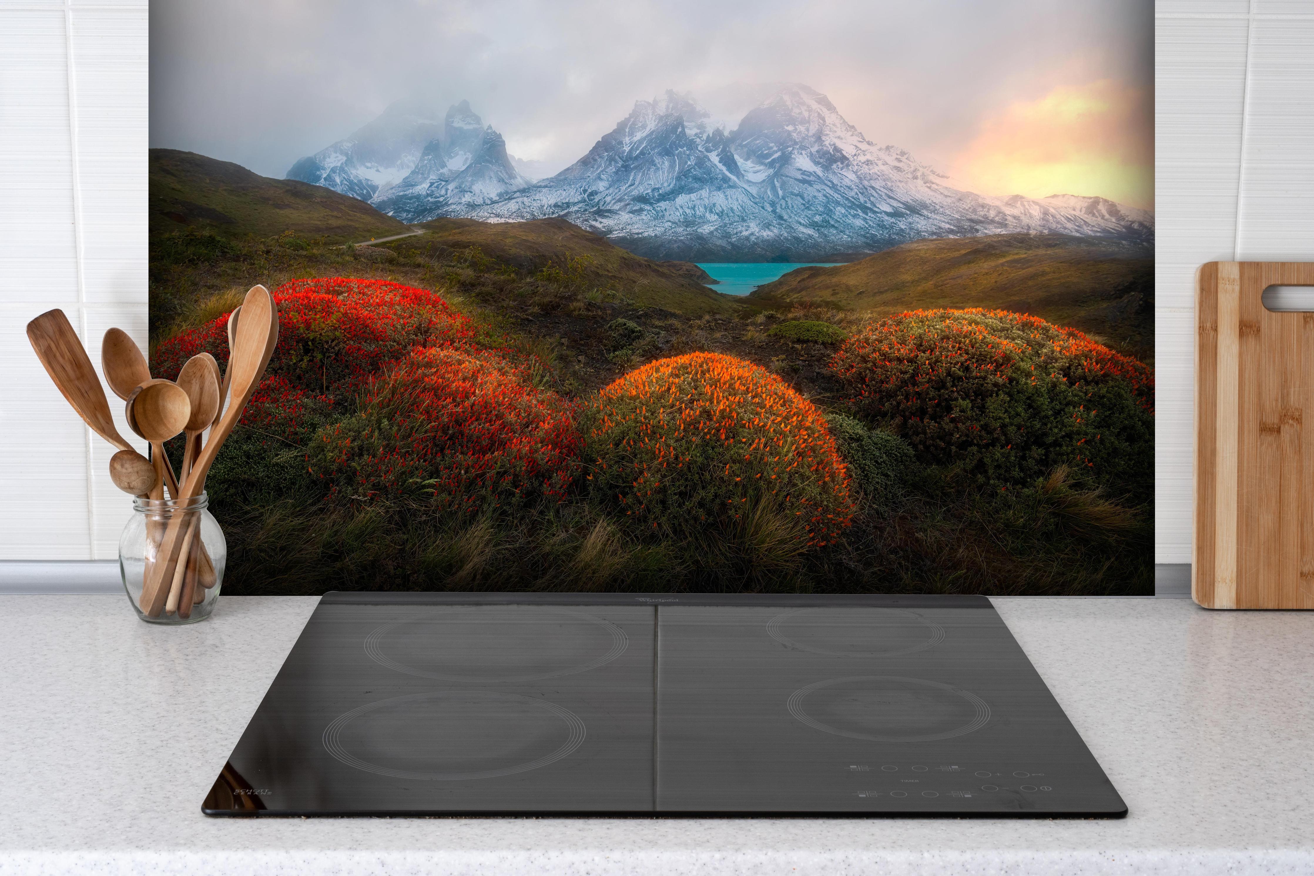 Spritzschutz - Patagonischer Frühling mit schneebedeckten Gipfeln hinter einem Cerankochfeld zwischen Holz-Kochutensilien