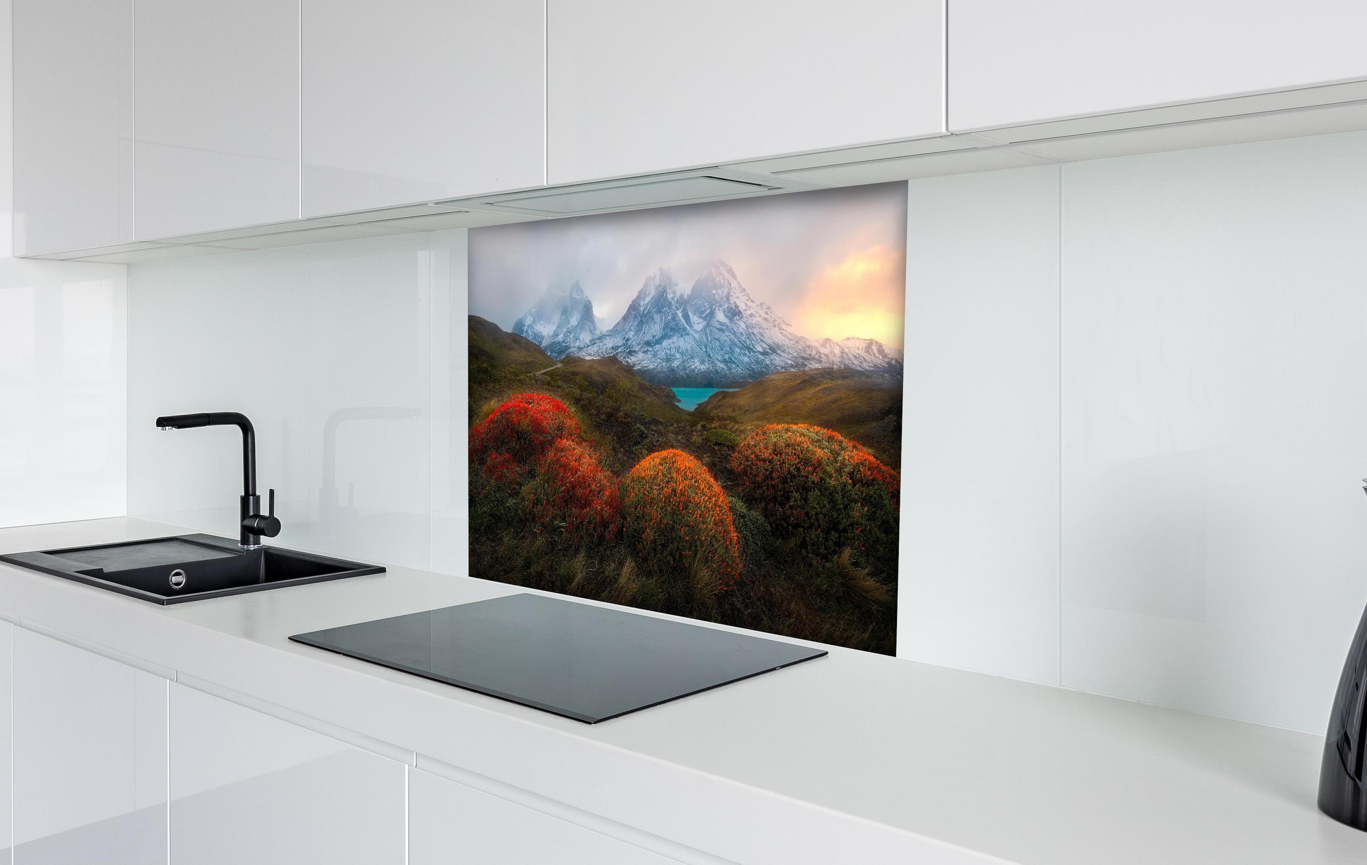 Spritzschutz - Patagonischer Frühling mit schneebedeckten Gipfeln hinter einem Cerankochfeld zwischen Holz-Kochutensilien