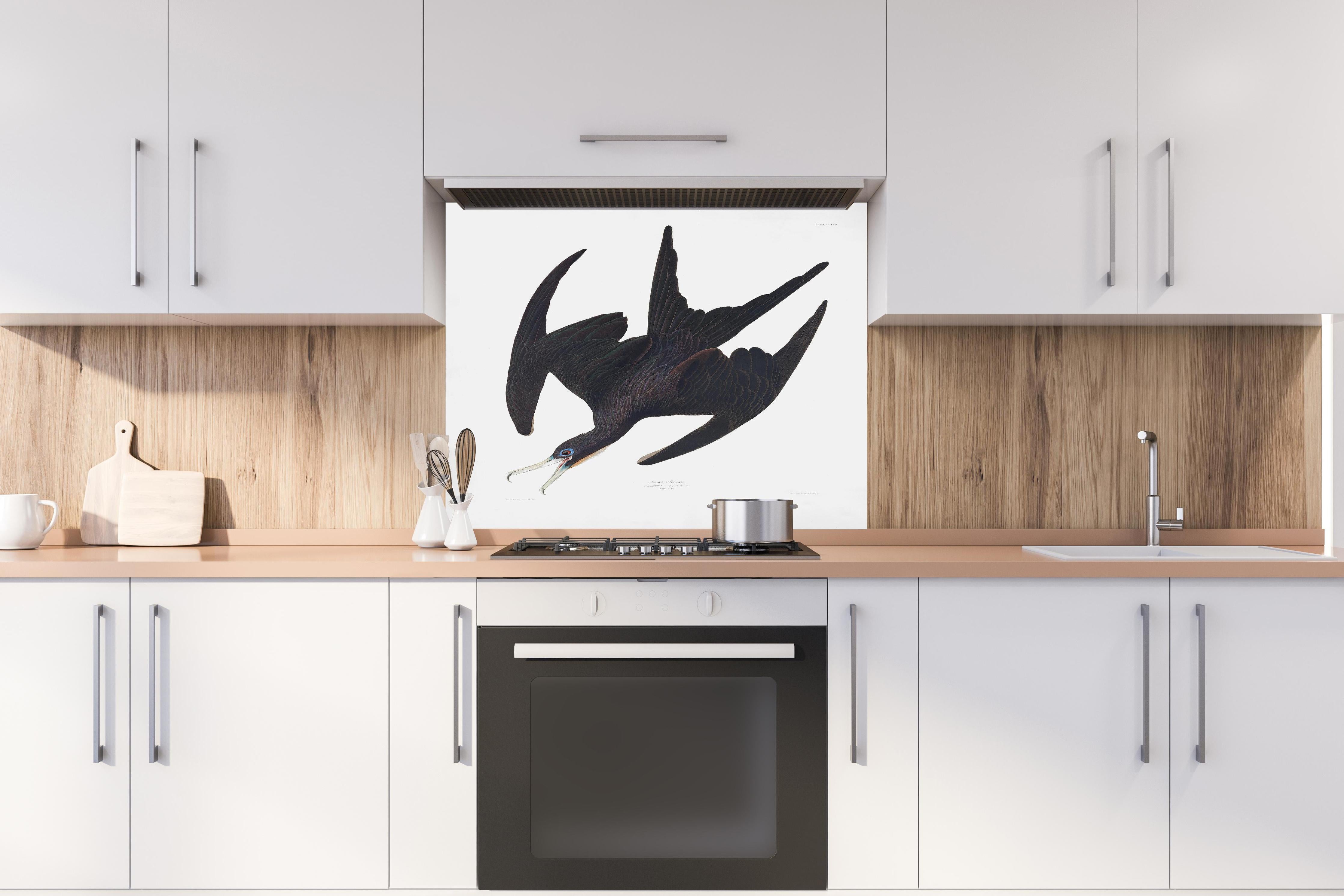 Spritzschutz - Pelikan Portrait - Robert Havell hinter einem Cerankochfeld zwischen Holz-Kochutensilien