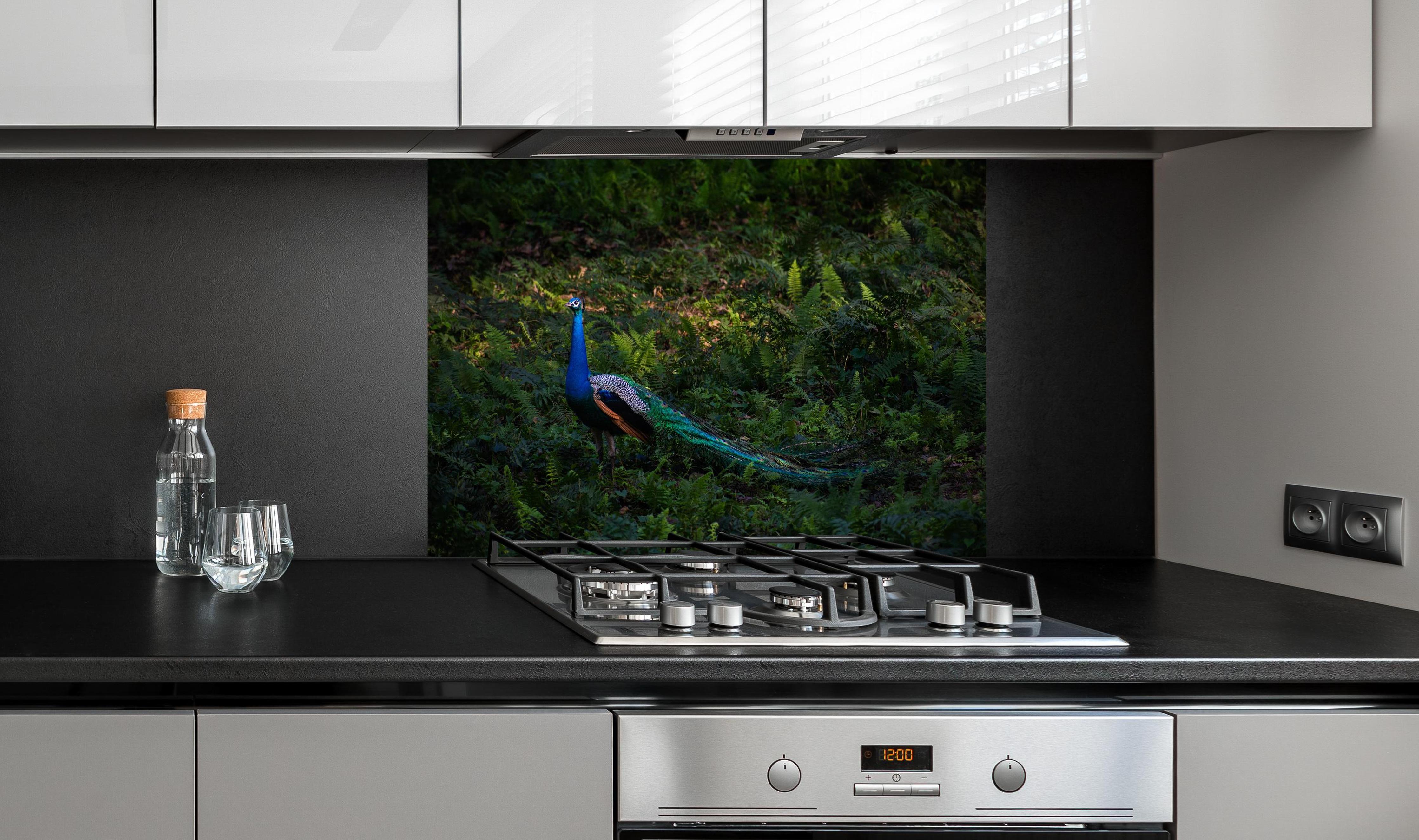 Spritzschutz - Pfau in freier Natur hinter einem Cerankochfeld zwischen Holz-Kochutensilien