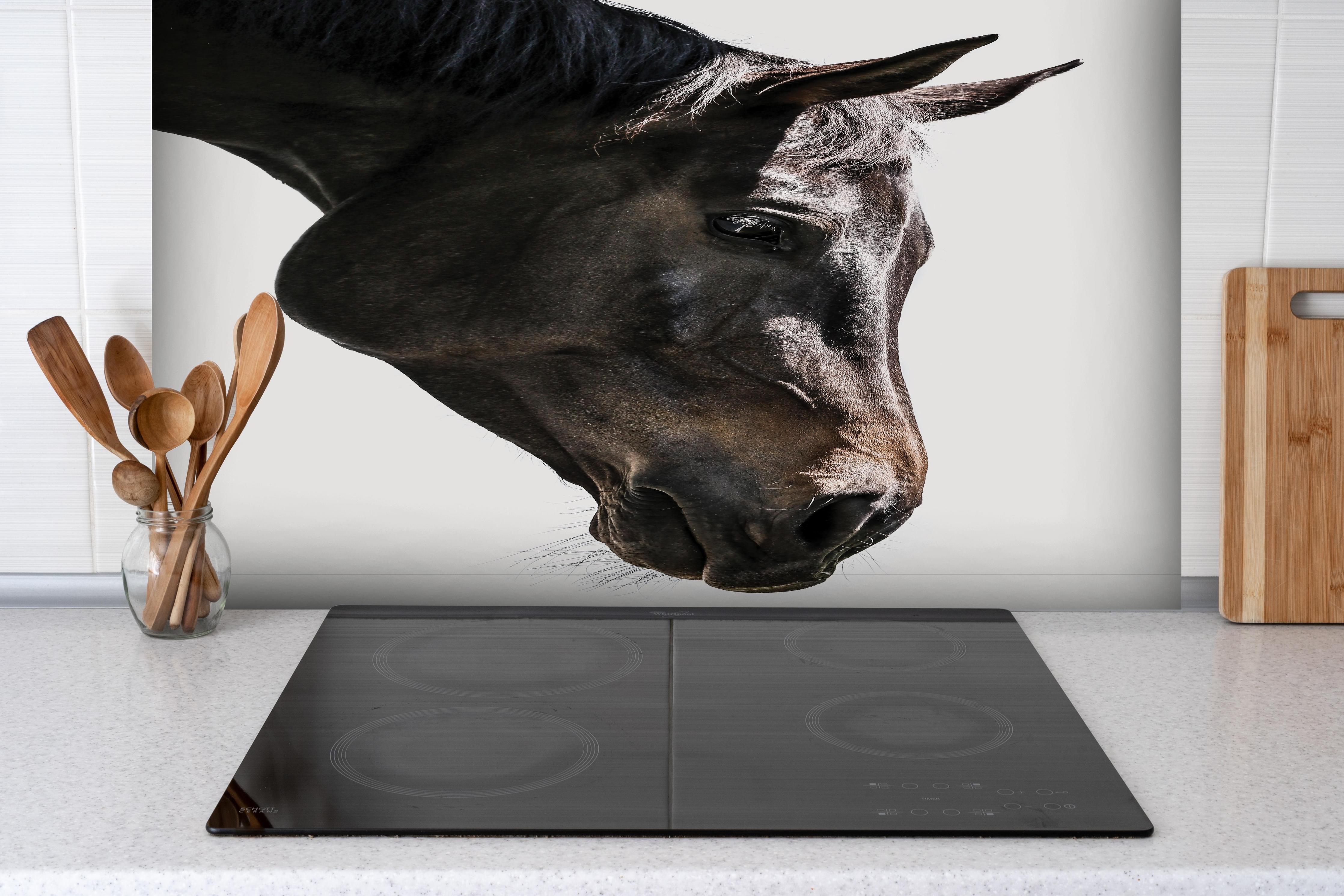 Spritzschutz - Pferd - Nahaufnahme hinter einem Cerankochfeld zwischen Holz-Kochutensilien