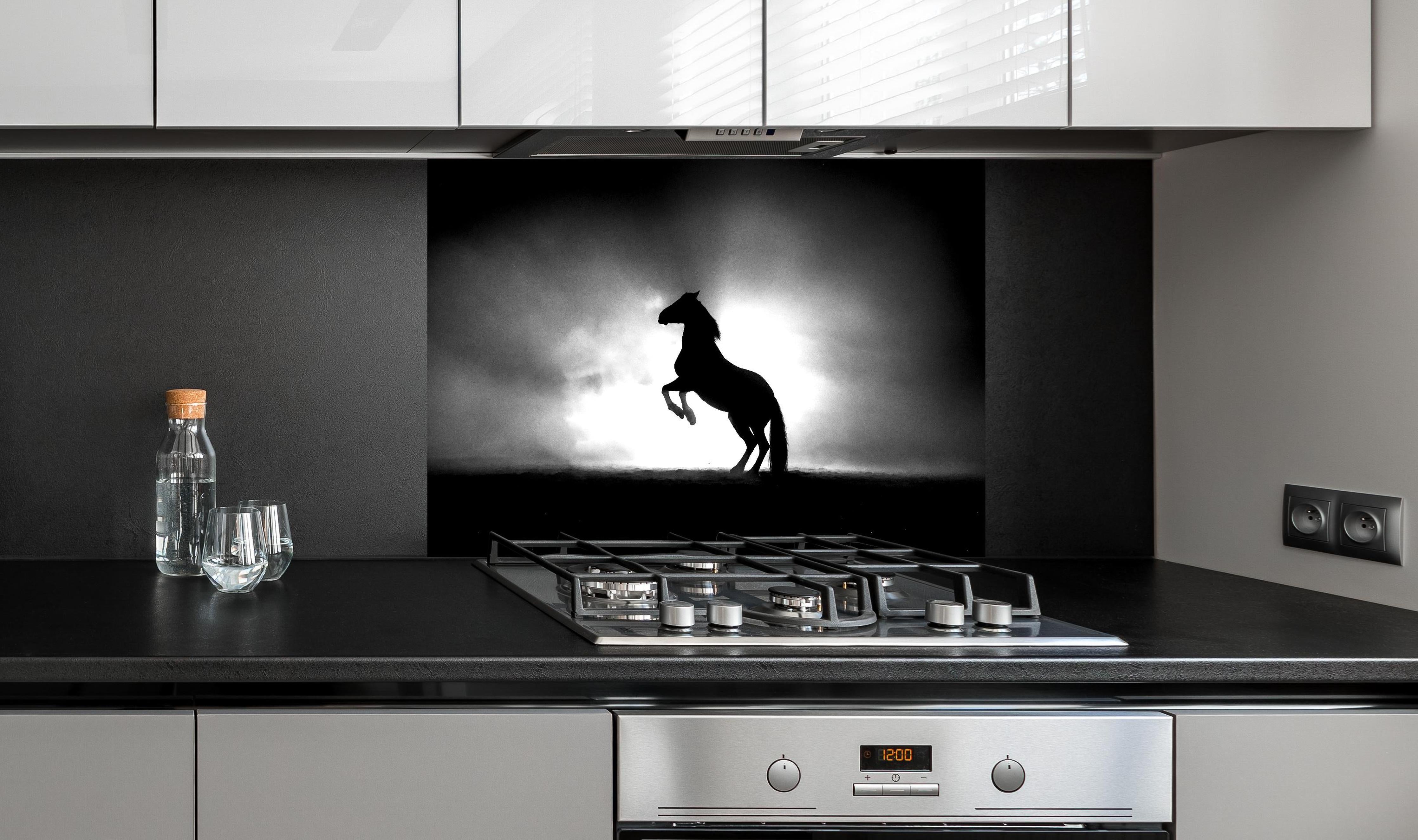Spritzschutz - Pferd-Aufzucht in Schwarz-Weiß hinter einem Cerankochfeld zwischen Holz-Kochutensilien