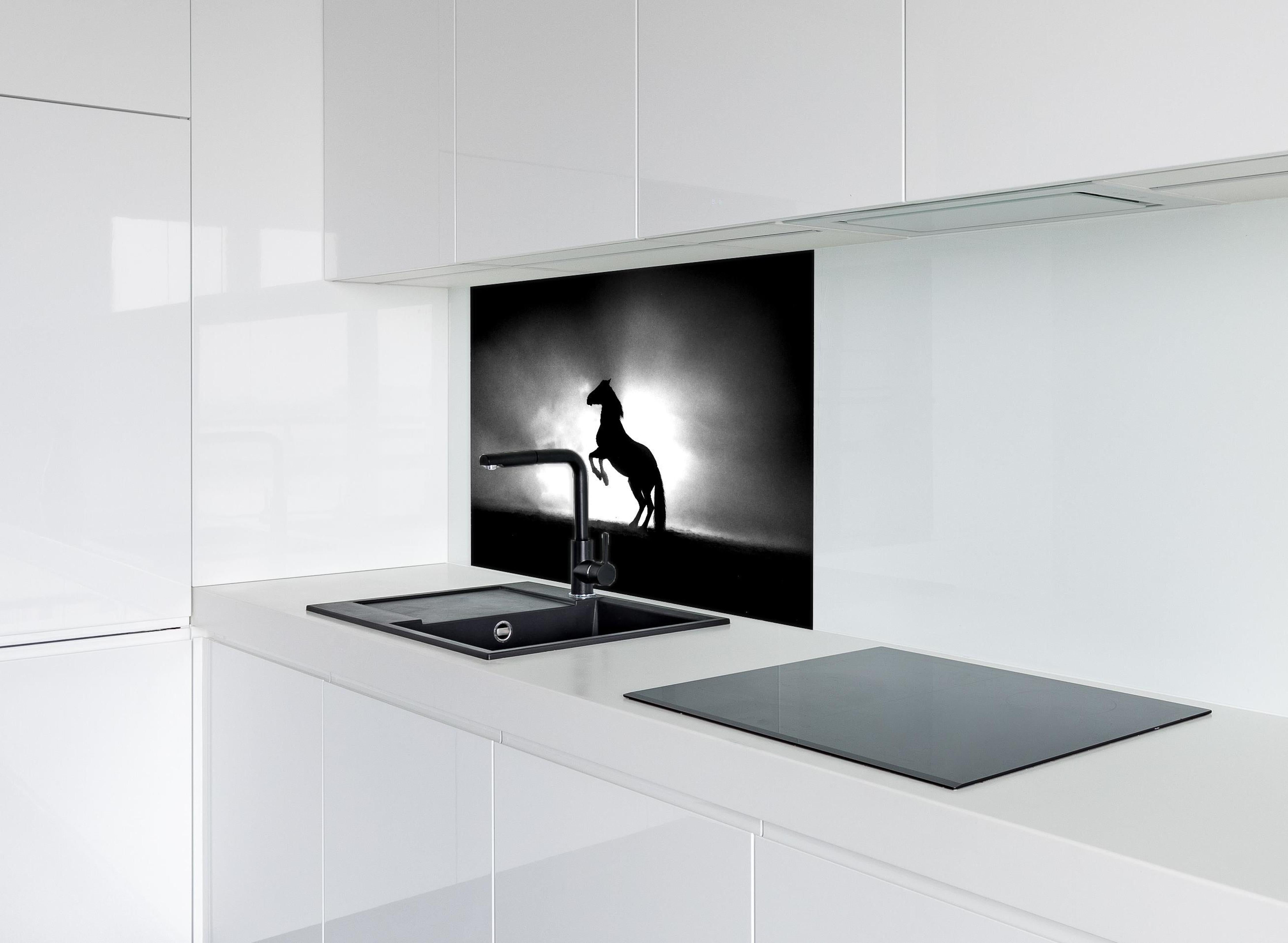 Spritzschutz - Pferd-Aufzucht in Schwarz-Weiß hinter einem Cerankochfeld zwischen Holz-Kochutensilien