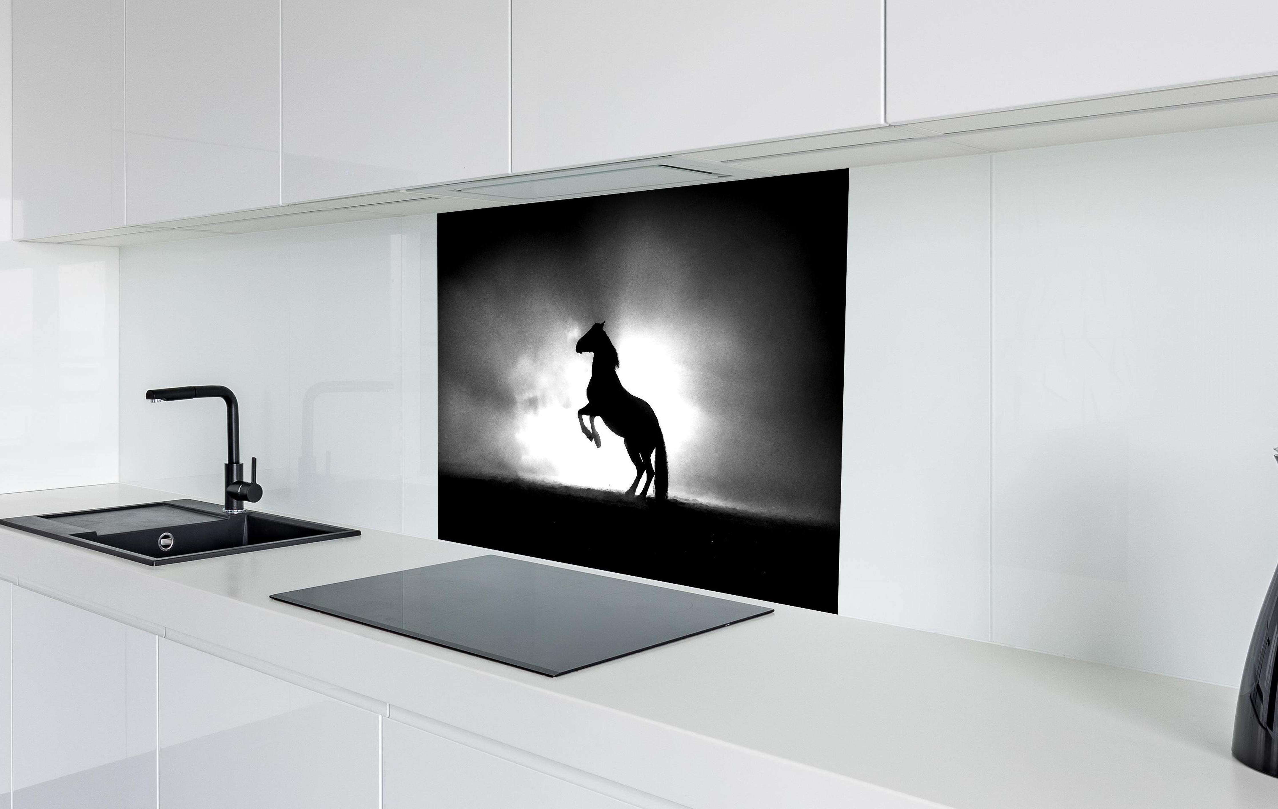 Spritzschutz - Pferd-Aufzucht in Schwarz-Weiß hinter einem Cerankochfeld zwischen Holz-Kochutensilien