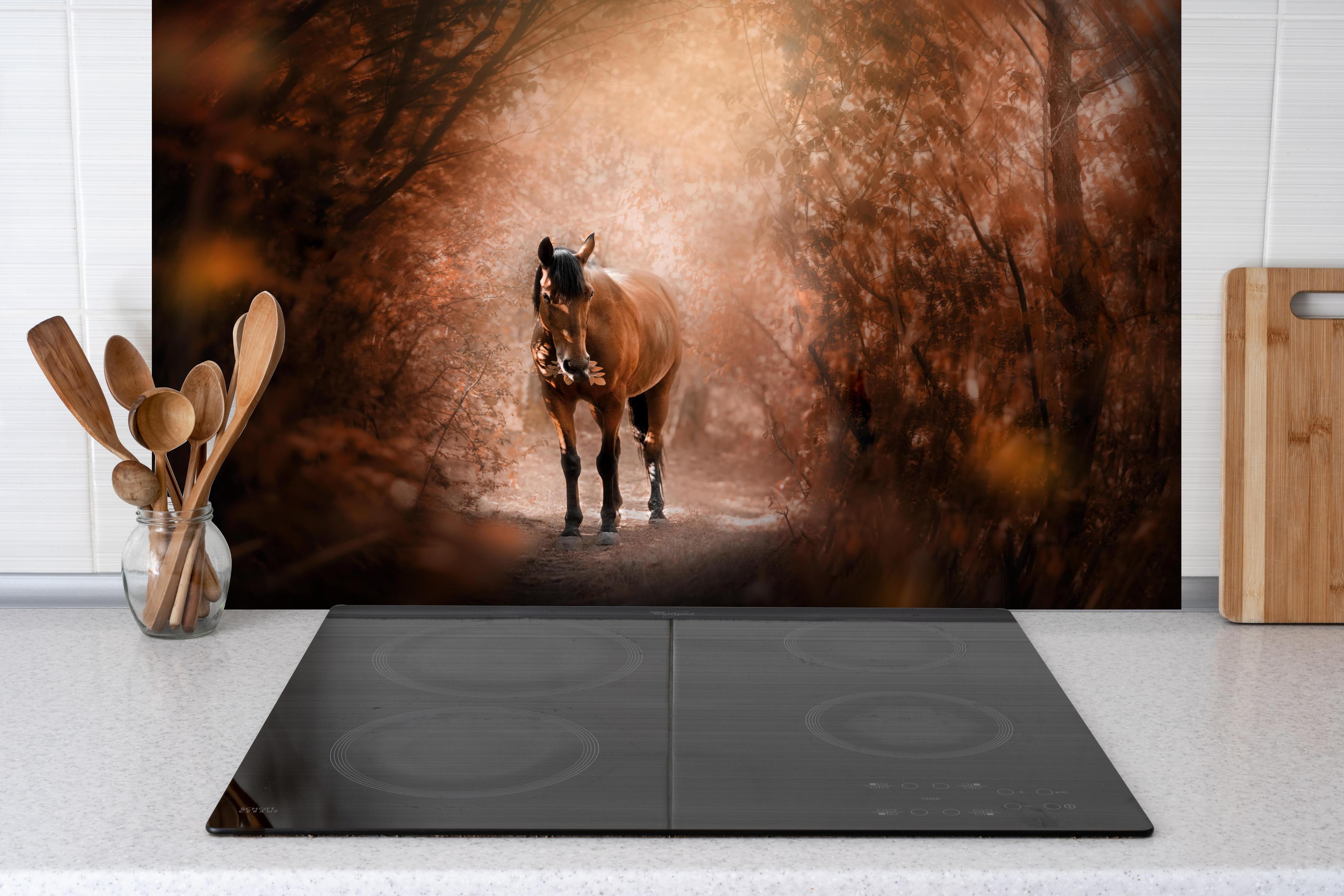 Spritzschutz - Pferd stehend im Wald hinter einem Cerankochfeld zwischen Holz-Kochutensilien