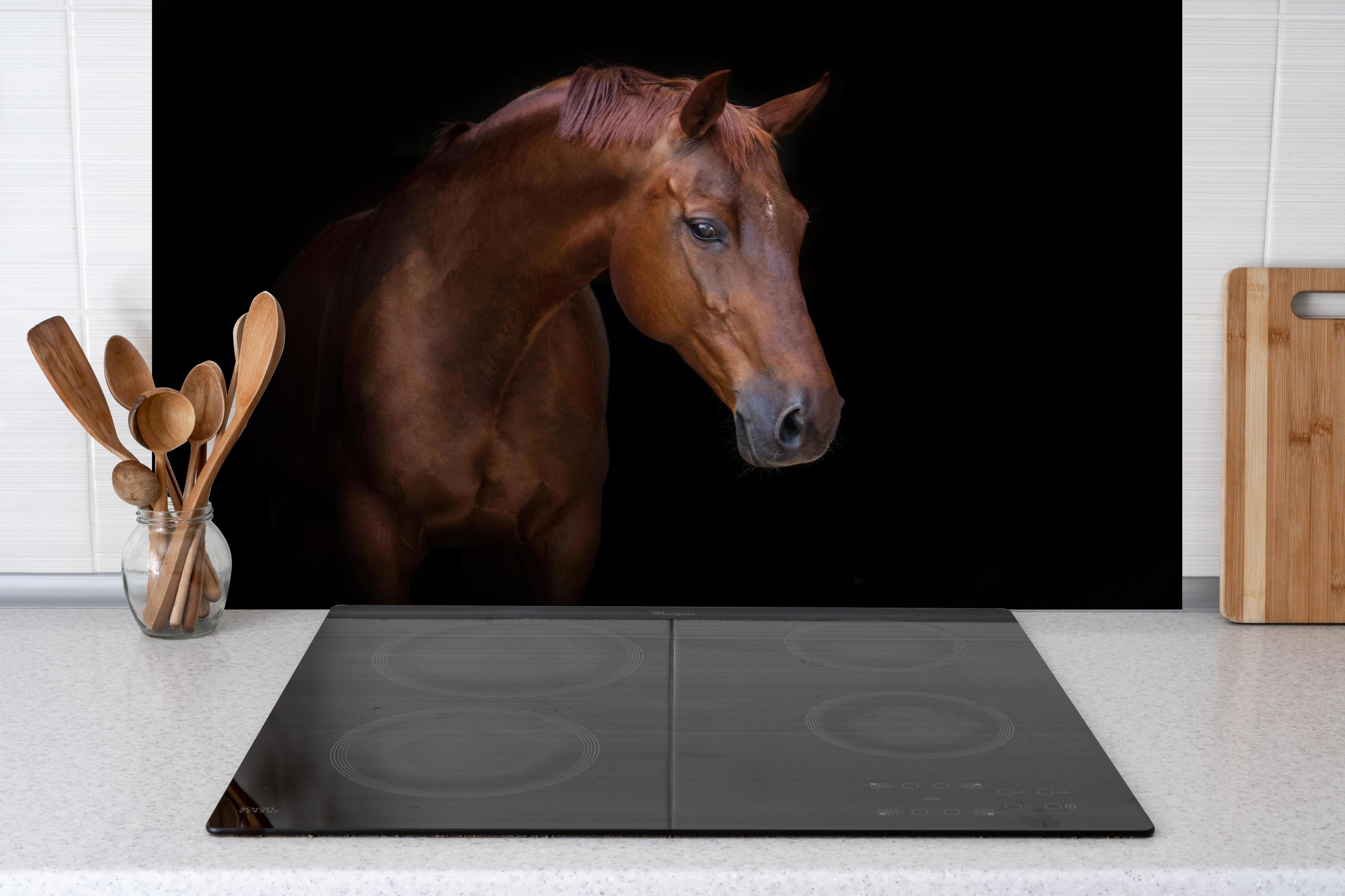 Spritzschutz - Pferde Porträt auf schwarzem Hintergrund hinter einem Cerankochfeld zwischen Holz-Kochutensilien