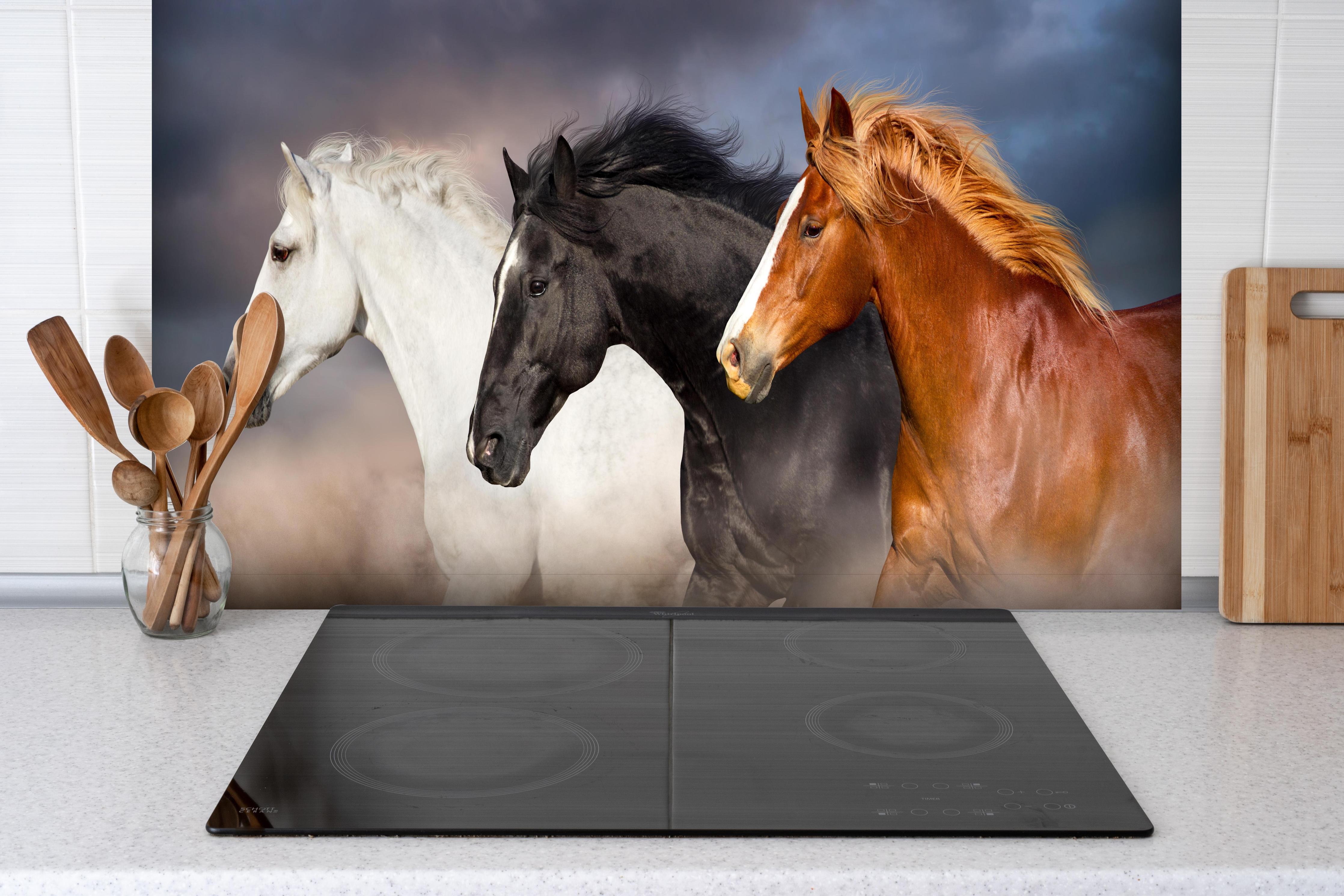 Spritzschutz - Pferde Portrait - abendlich hinter einem Cerankochfeld zwischen Holz-Kochutensilien