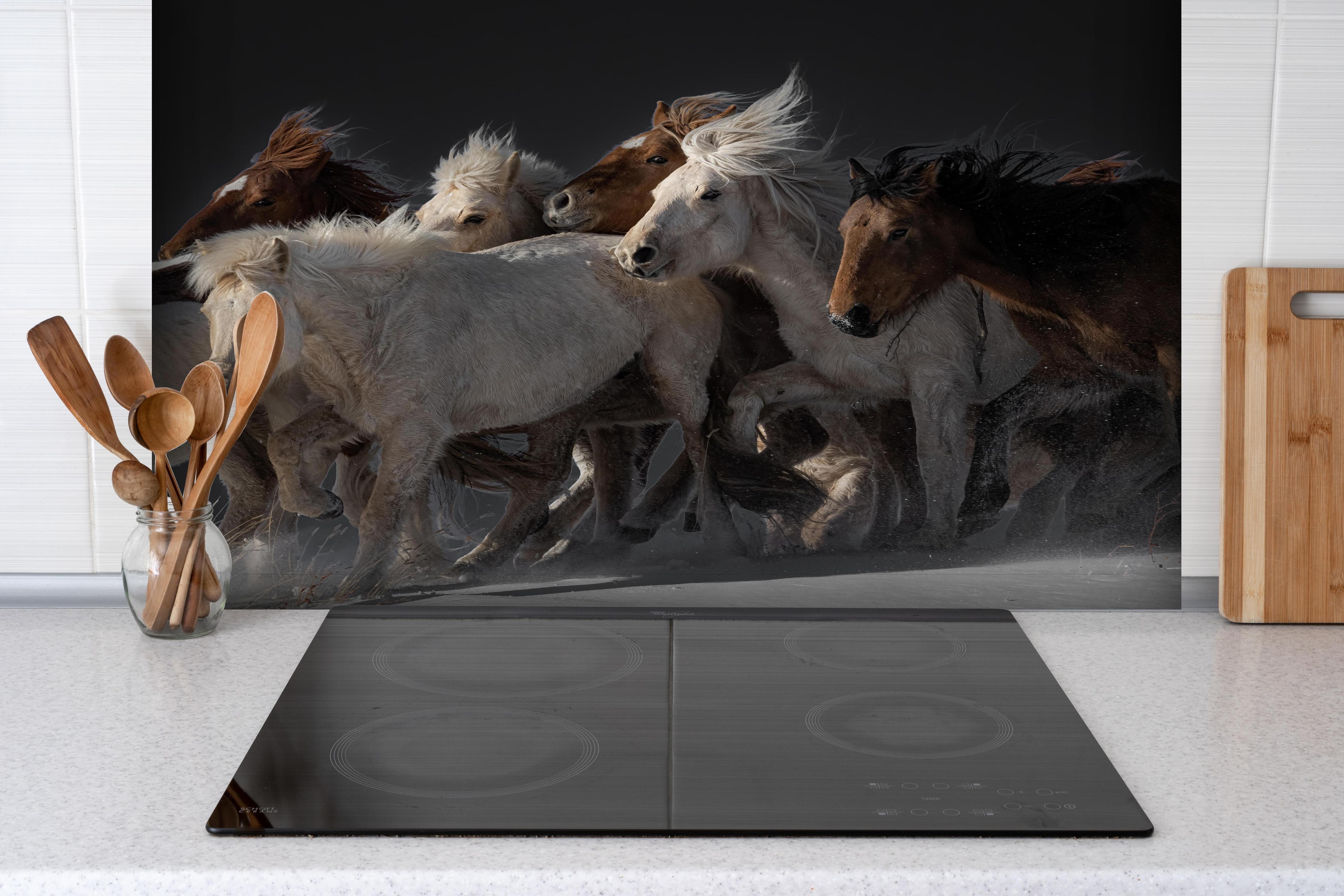 Spritzschutz - Pferdeherde hinter einem Cerankochfeld zwischen Holz-Kochutensilien