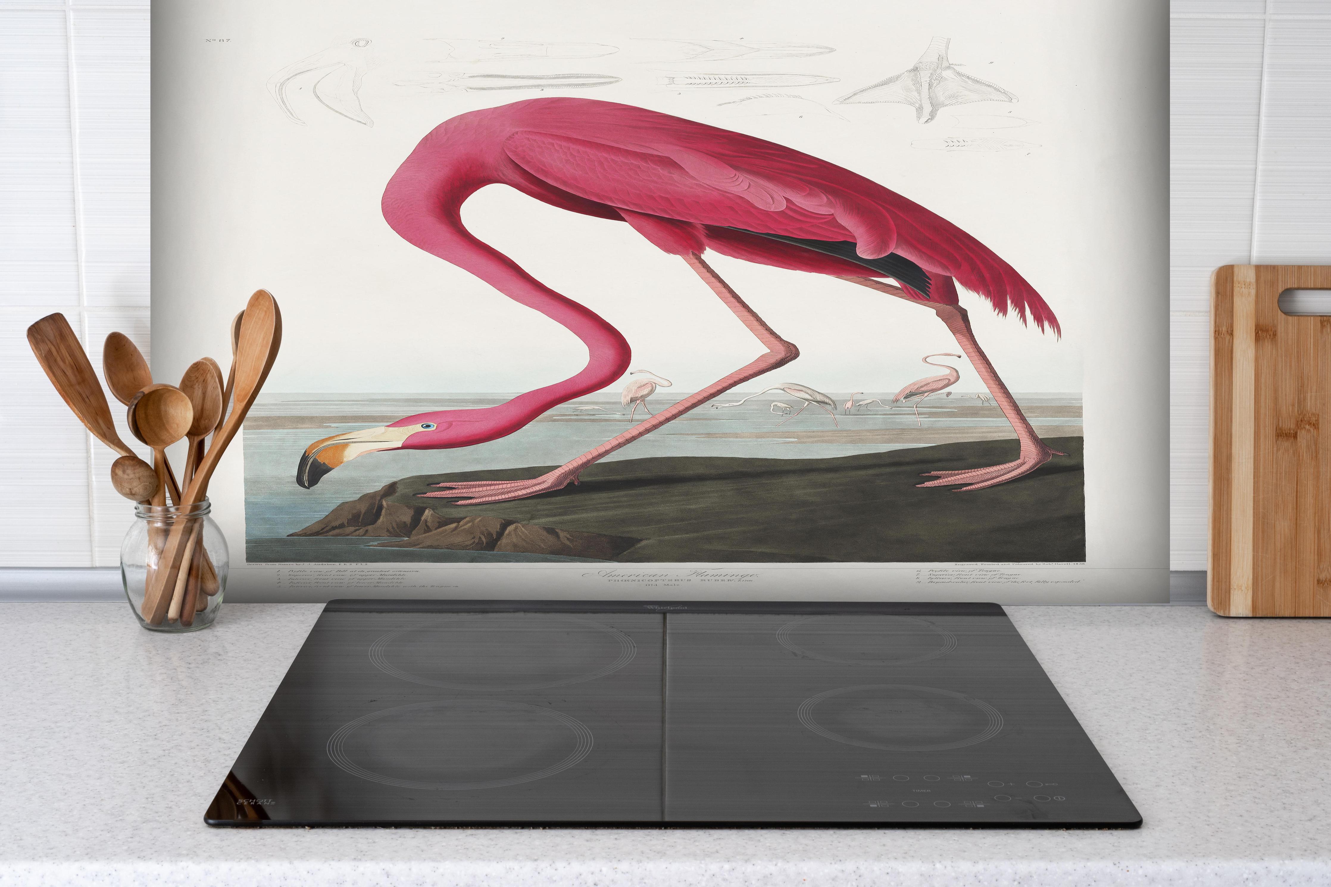 Spritzschutz - Pinker Flamingo - John James Audubon hinter einem Cerankochfeld zwischen Holz-Kochutensilien