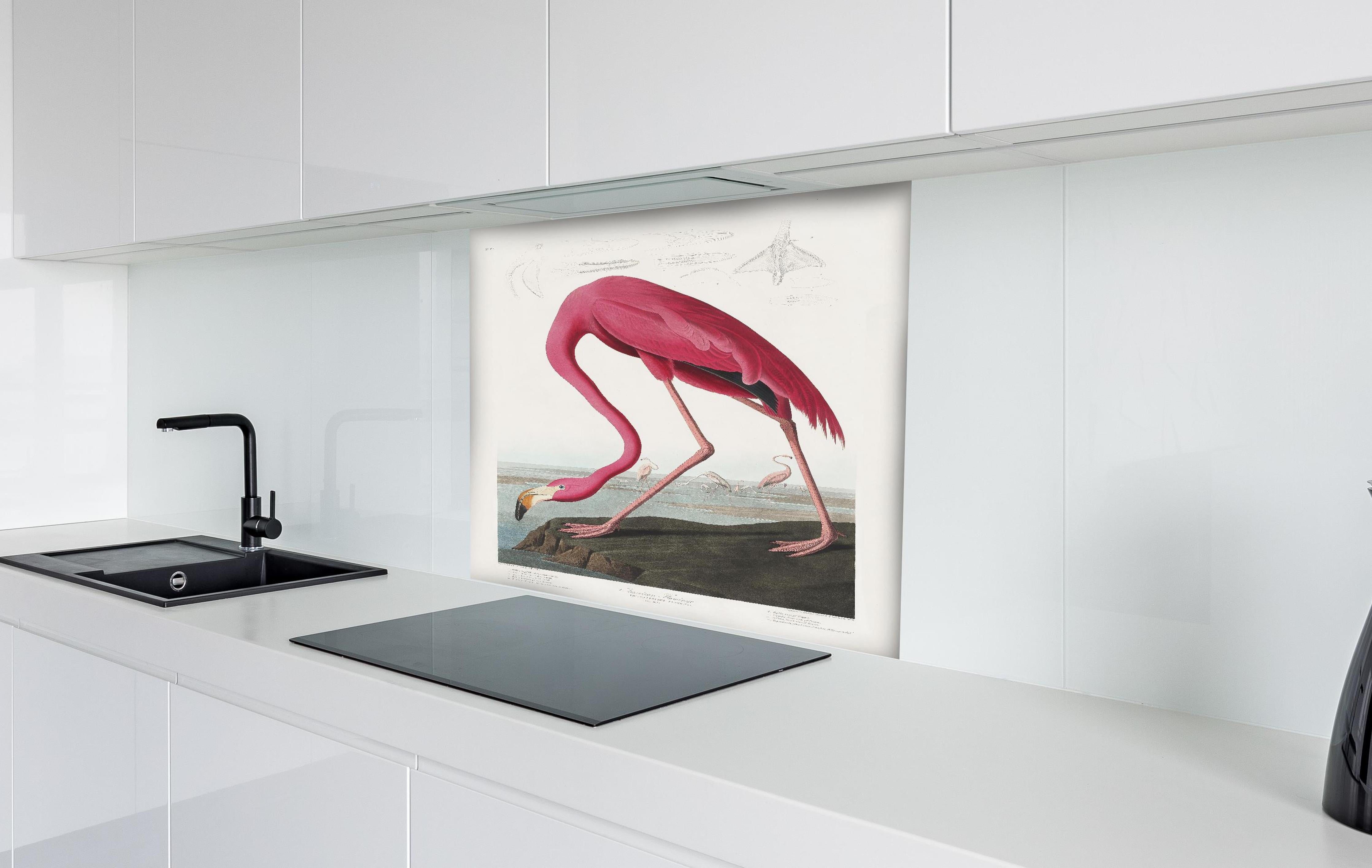 Spritzschutz - Pinker Flamingo - John James Audubon hinter einem Cerankochfeld zwischen Holz-Kochutensilien