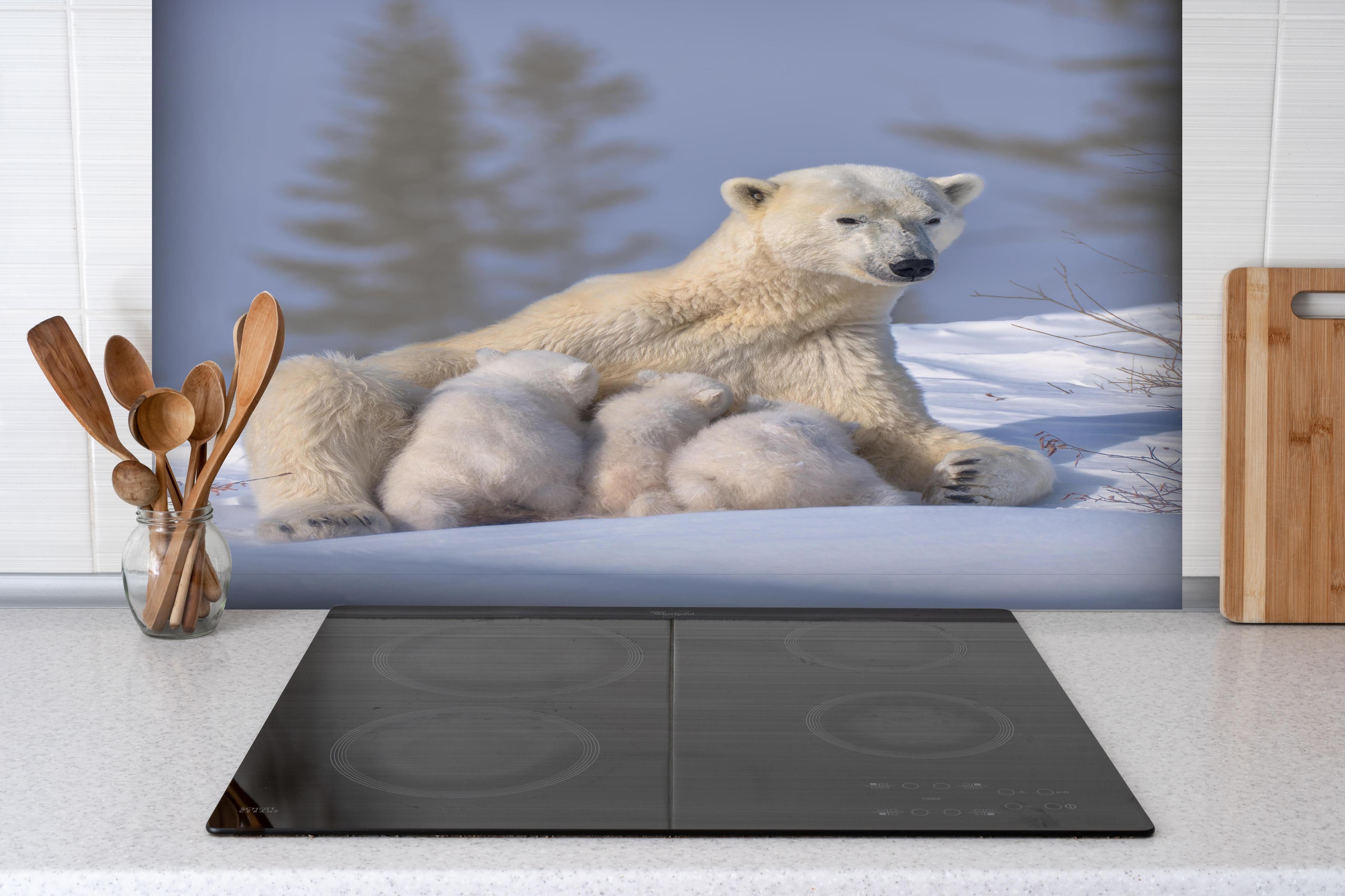Spritzschutz - Polarbär Mama mit Drillingen, Schneewelt hinter einem Cerankochfeld zwischen Holz-Kochutensilien