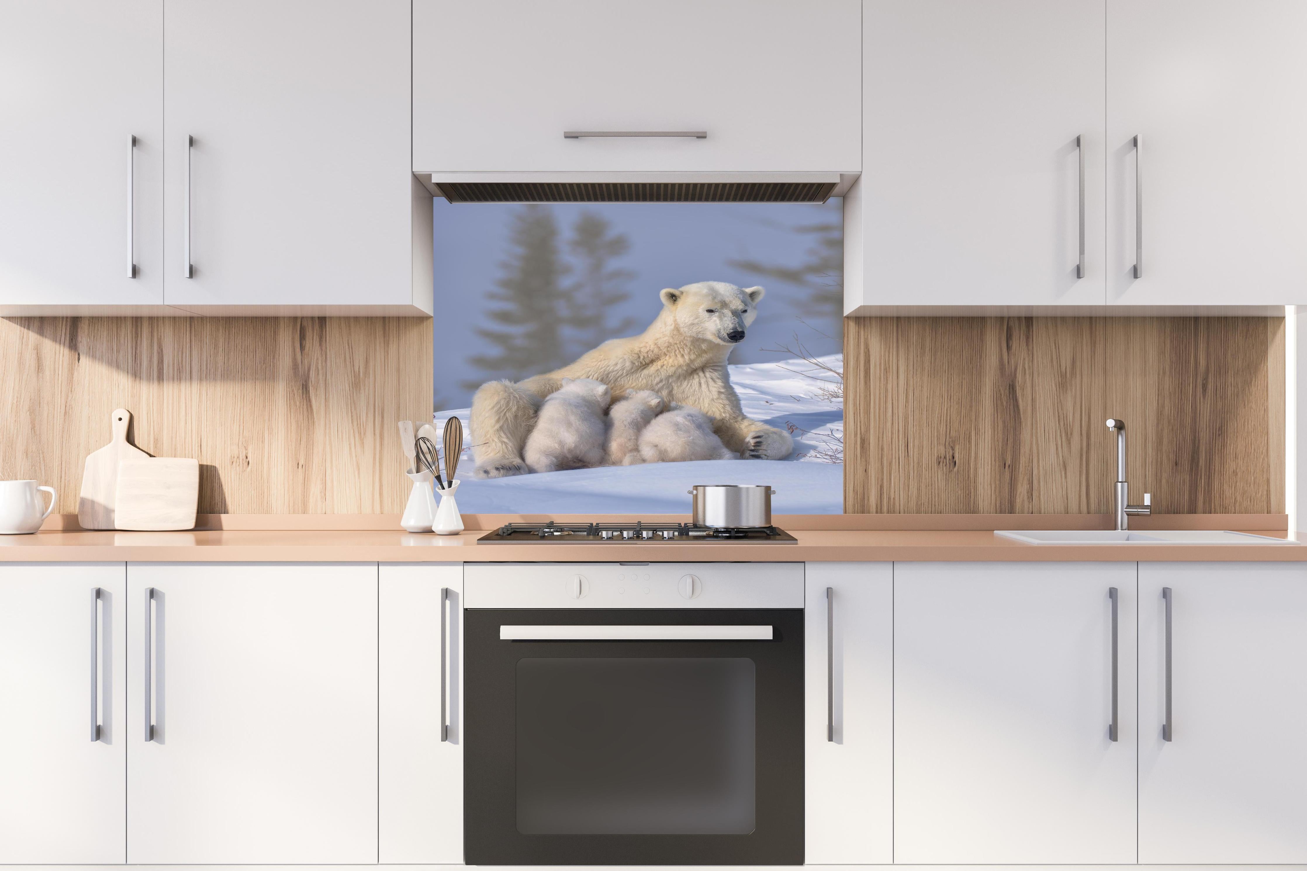 Spritzschutz - Polarbär Mama mit Drillingen, Schneewelt hinter einem Cerankochfeld zwischen Holz-Kochutensilien