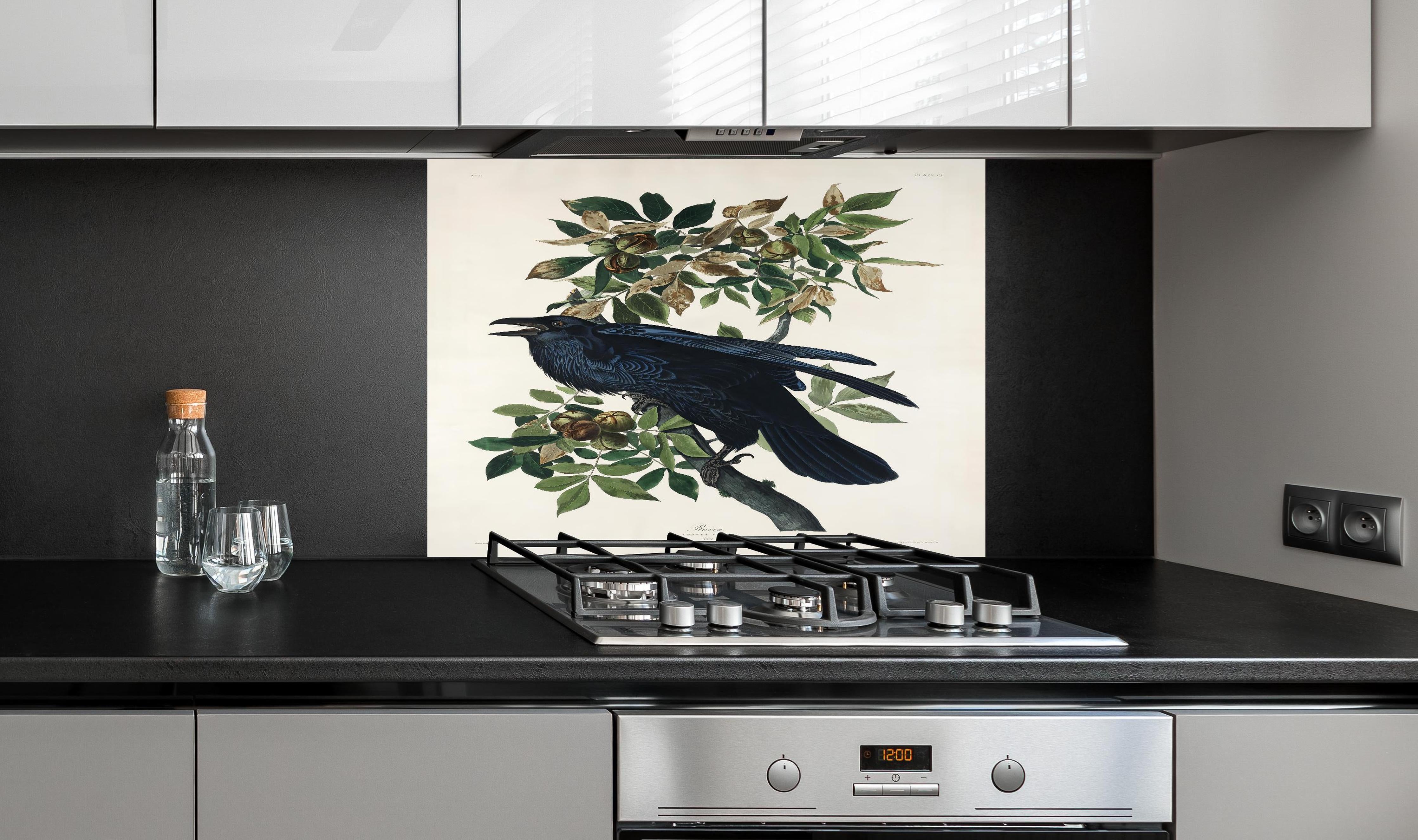 Spritzschutz - Raben Portrait - John James Audubon hinter einem Cerankochfeld zwischen Holz-Kochutensilien