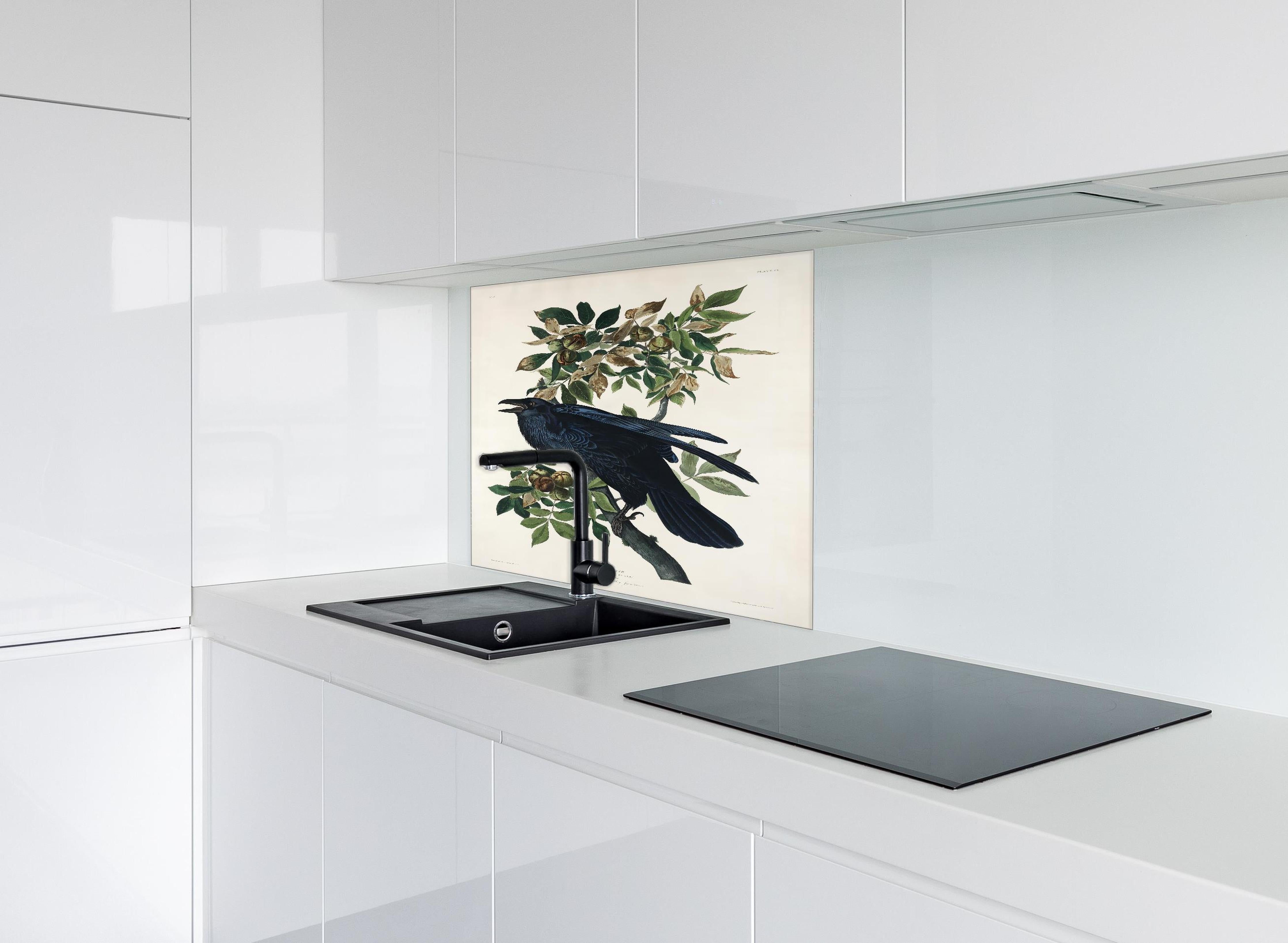 Spritzschutz - Raben Portrait - John James Audubon hinter einem Cerankochfeld zwischen Holz-Kochutensilien