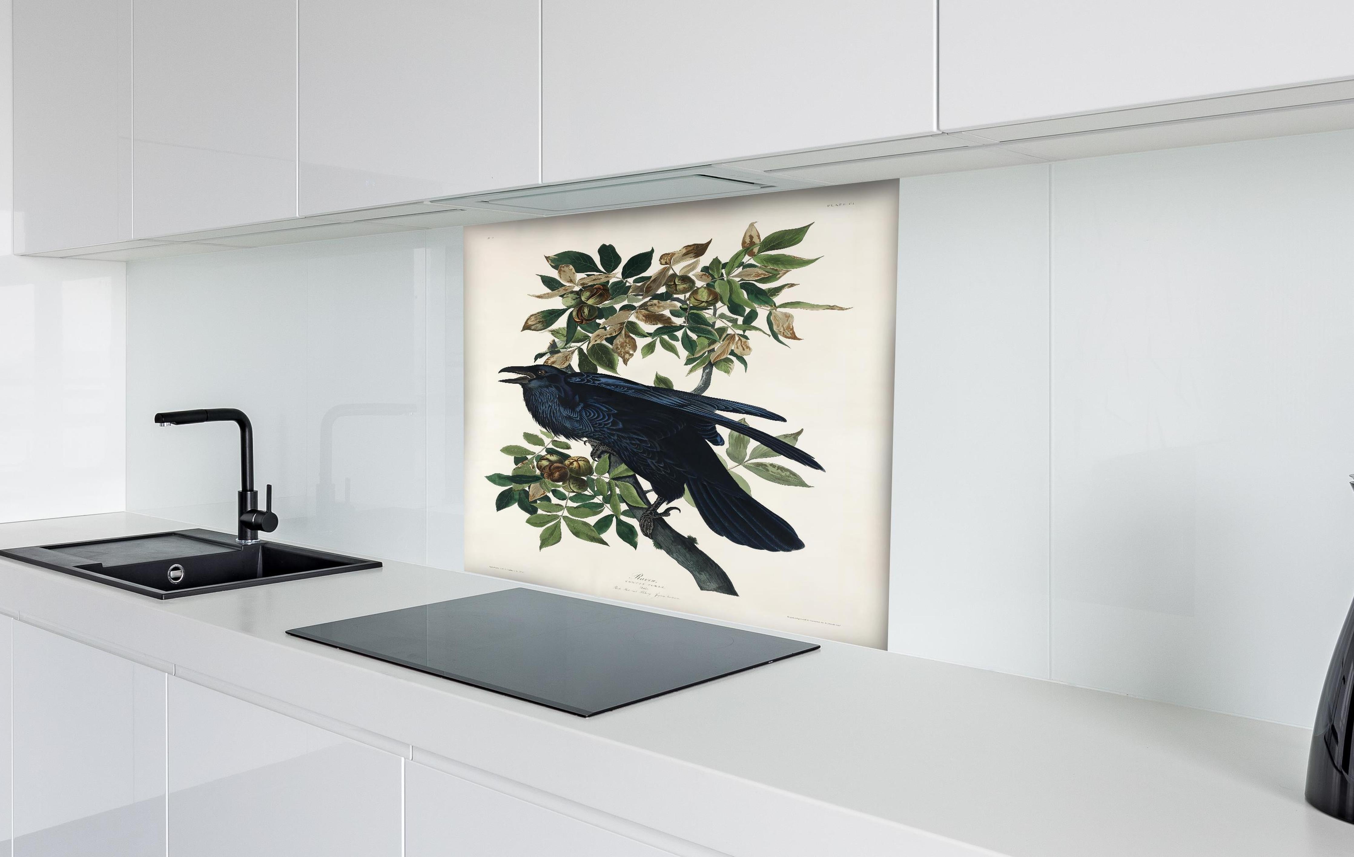 Spritzschutz - Raben Portrait - John James Audubon hinter einem Cerankochfeld zwischen Holz-Kochutensilien