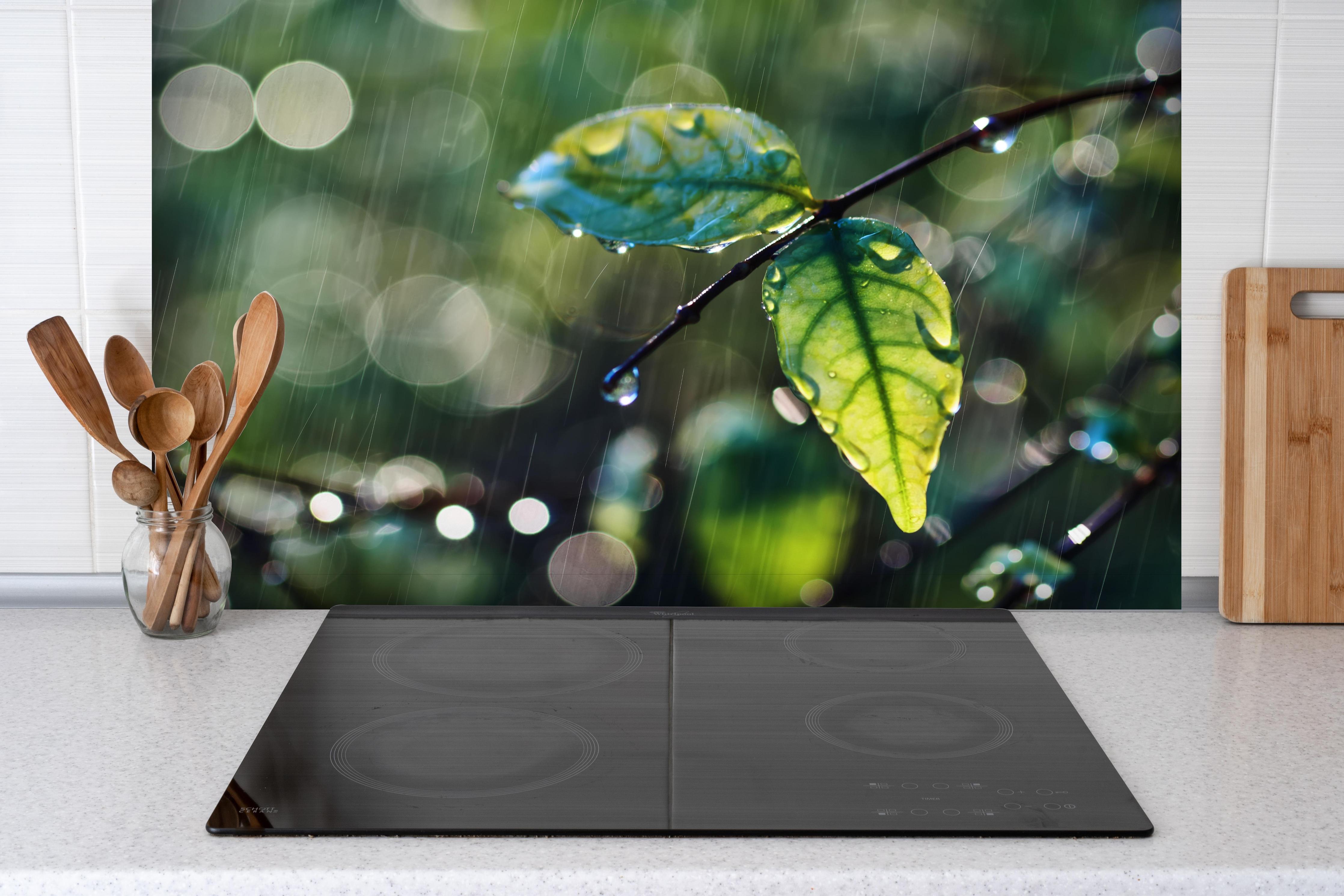 Spritzschutz - Regentropfen auf Blatt und Zweig hinter einem Cerankochfeld zwischen Holz-Kochutensilien