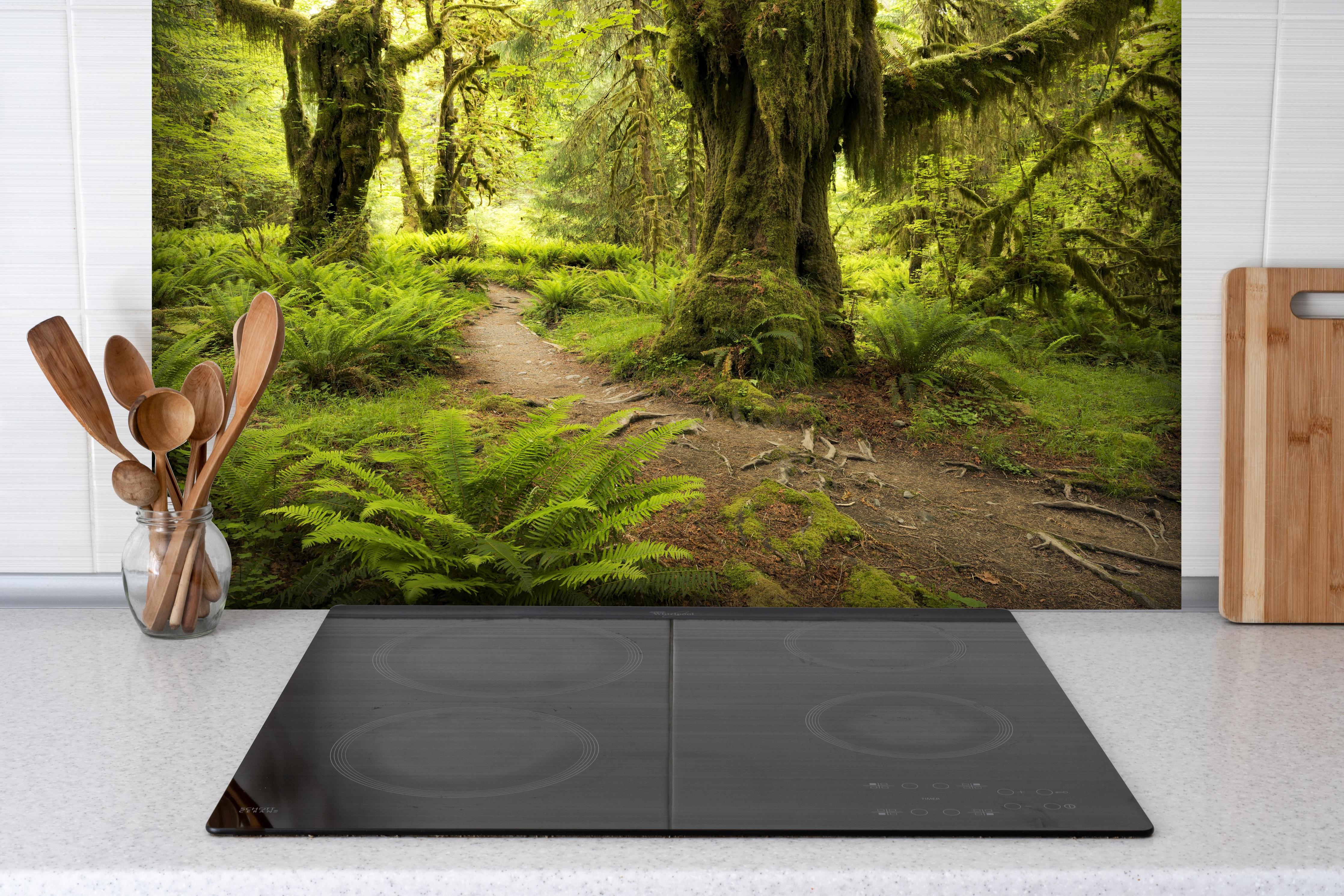 Spritzschutz - Regenwald in Amerika hinter einem Cerankochfeld zwischen Holz-Kochutensilien