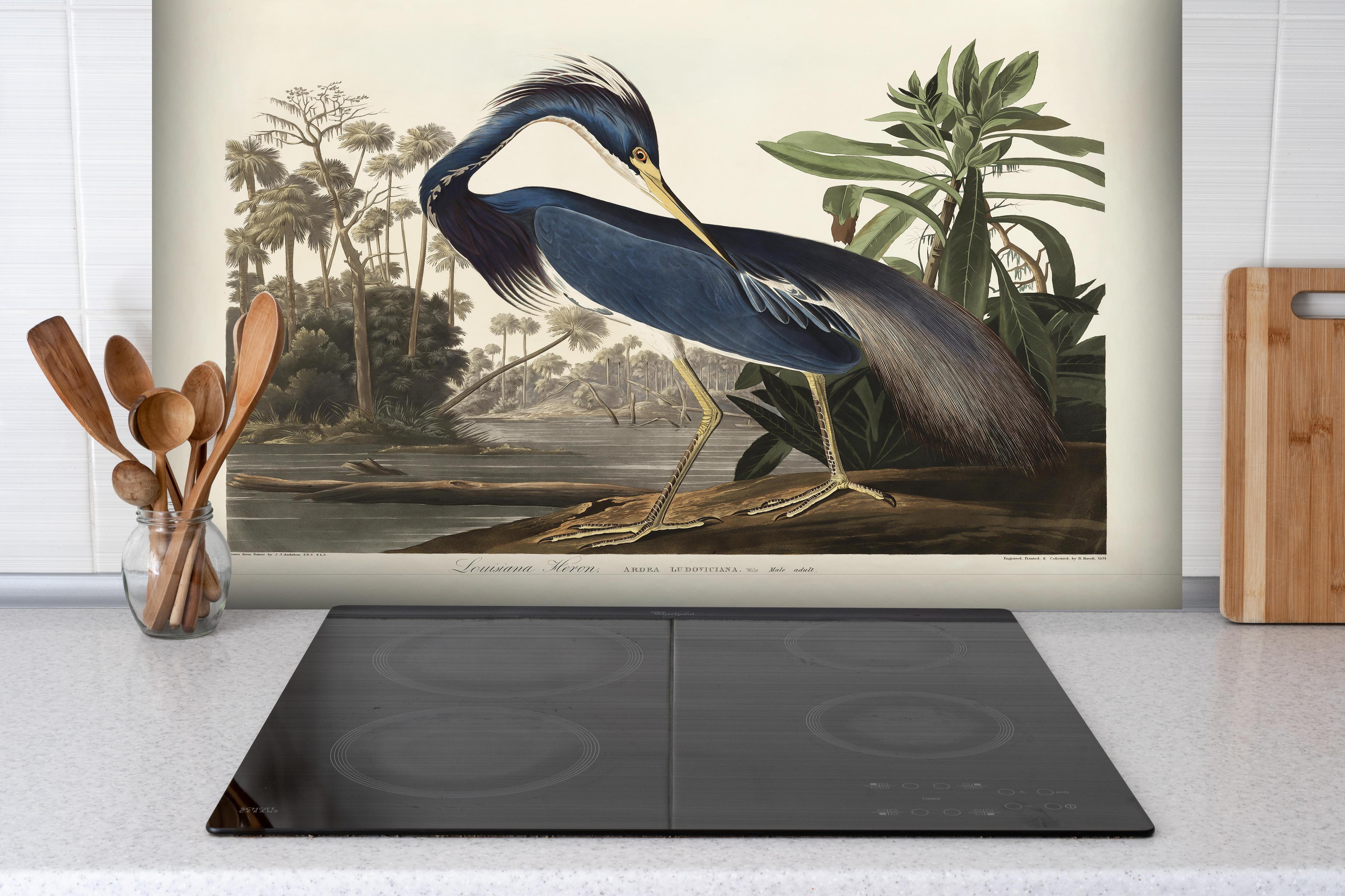 Spritzschutz - Reiher Portrait - John James Audubon hinter einem Cerankochfeld zwischen Holz-Kochutensilien