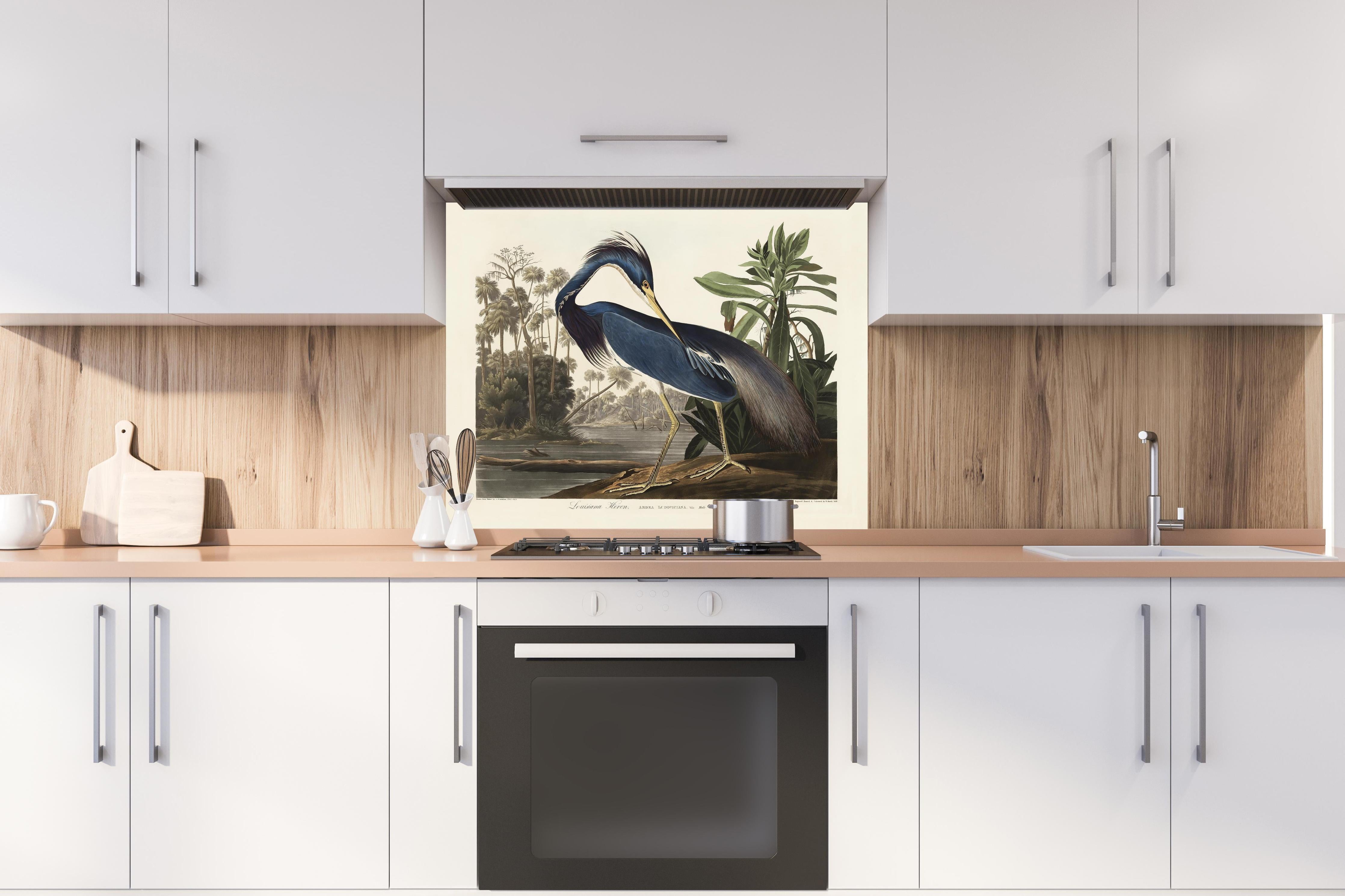 Spritzschutz - Reiher Portrait - John James Audubon hinter einem Cerankochfeld zwischen Holz-Kochutensilien