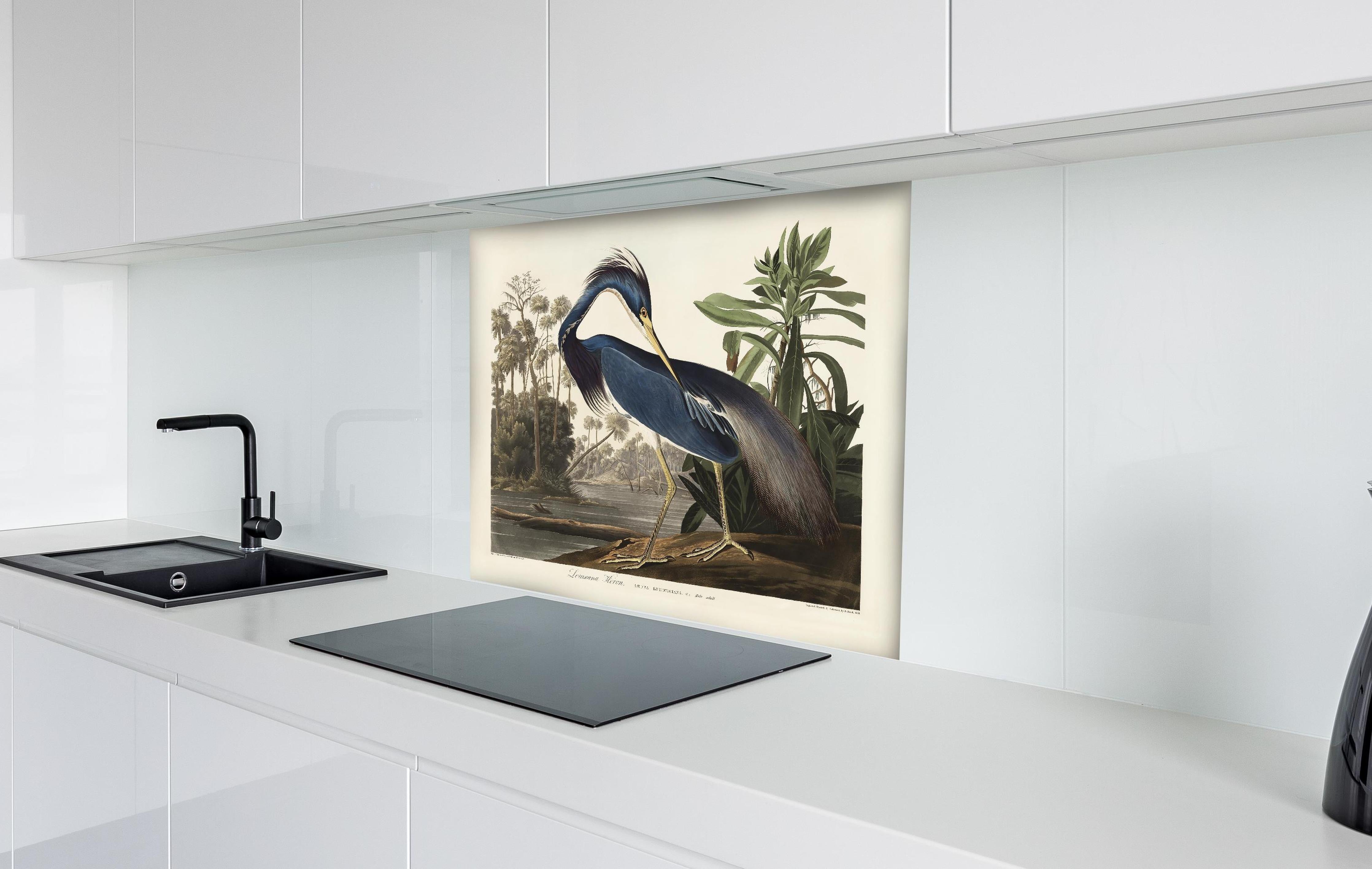 Spritzschutz - Reiher Portrait - John James Audubon hinter einem Cerankochfeld zwischen Holz-Kochutensilien