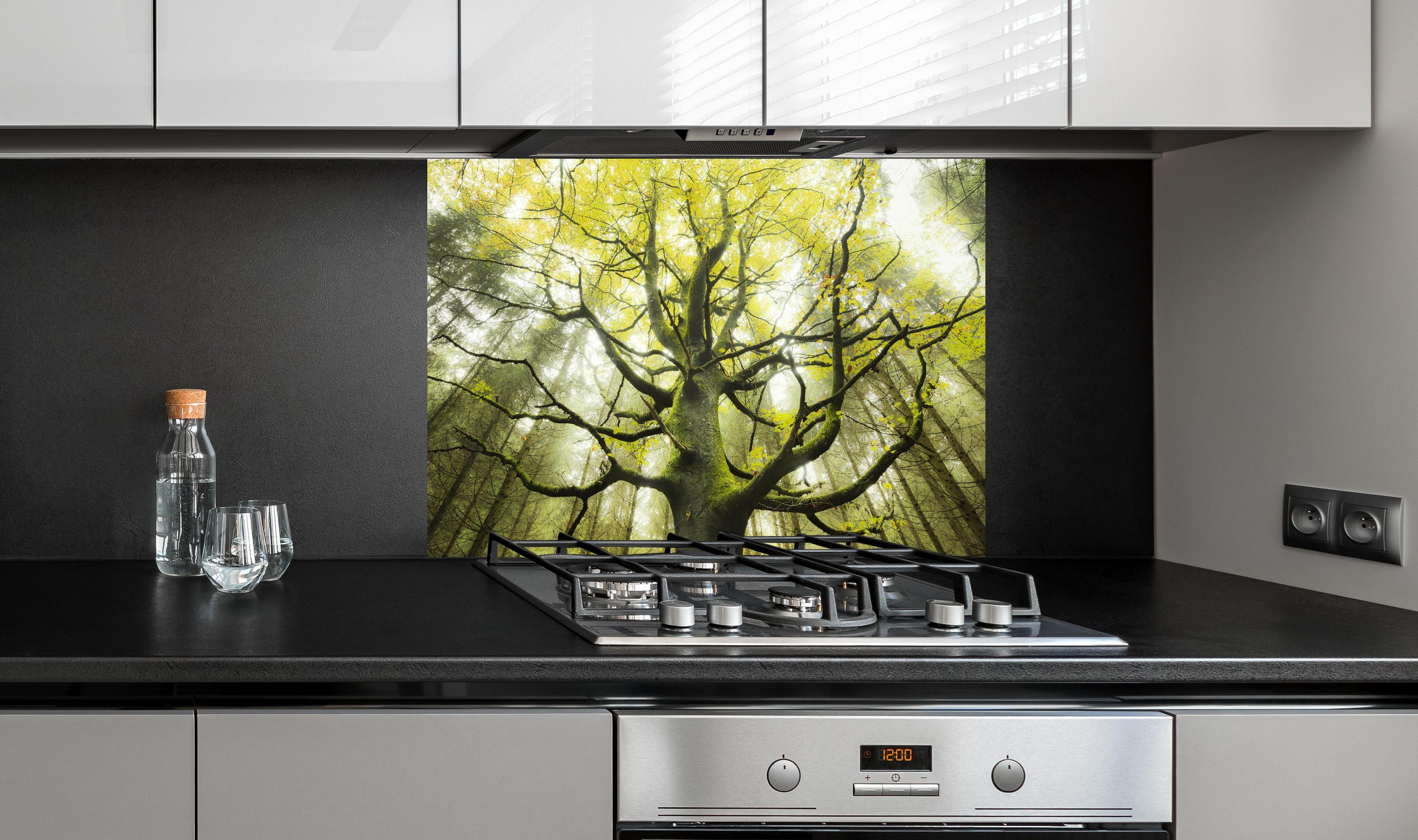 Spritzschutz - Riesiger Baum in Bayern hinter einem Cerankochfeld zwischen Holz-Kochutensilien