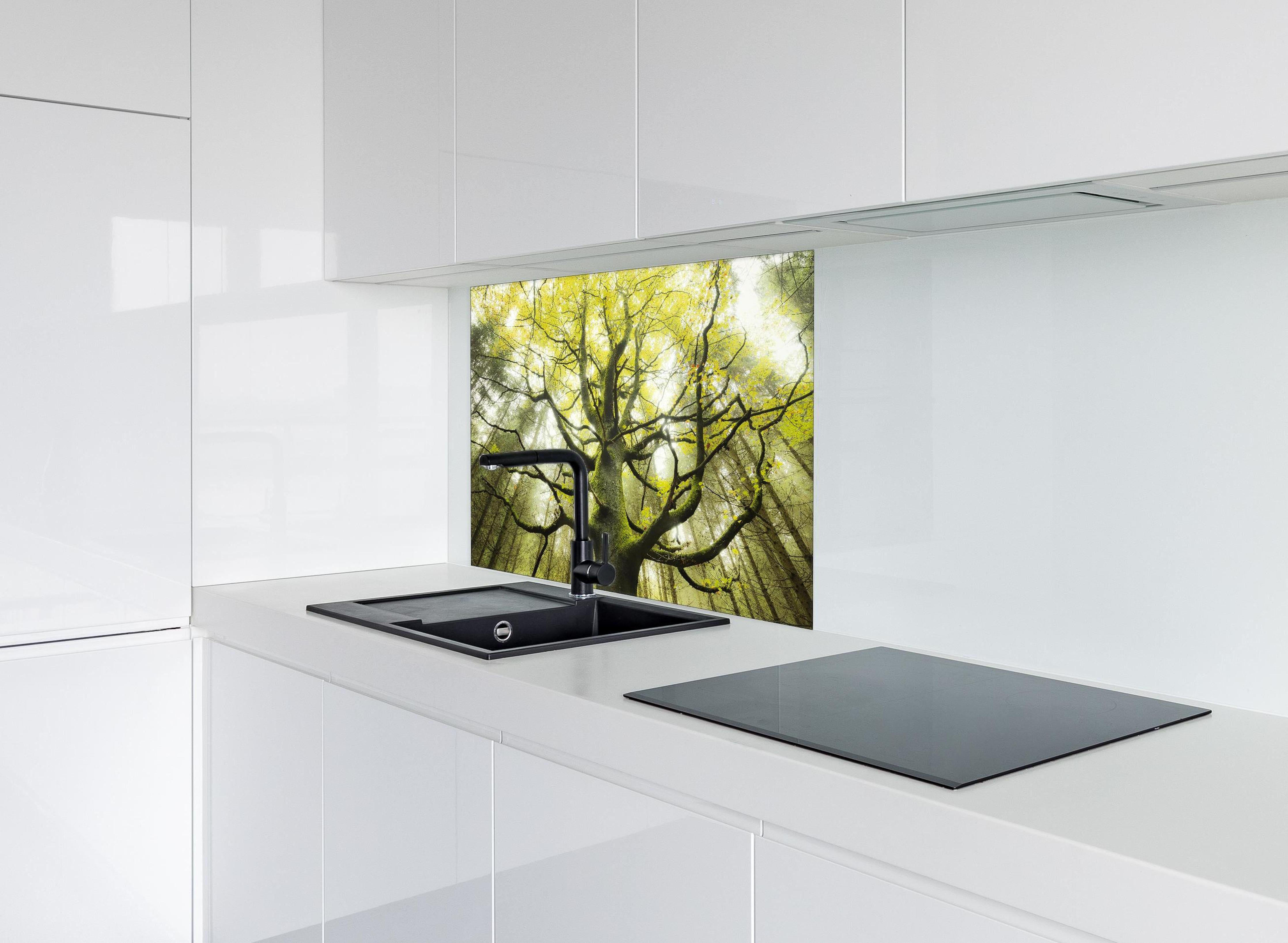 Spritzschutz - Riesiger Baum in Bayern hinter einem Cerankochfeld zwischen Holz-Kochutensilien