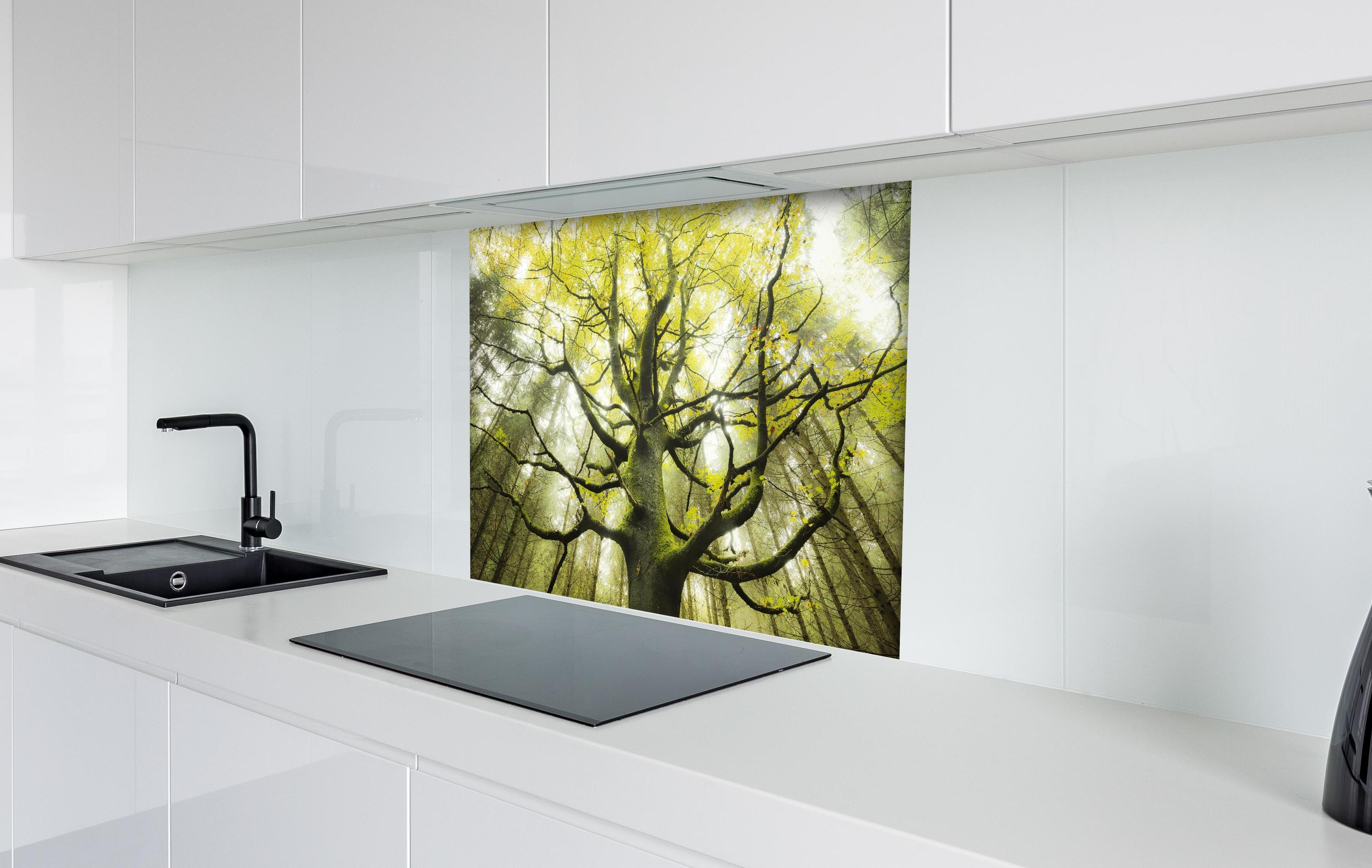 Spritzschutz - Riesiger Baum in Bayern hinter einem Cerankochfeld zwischen Holz-Kochutensilien