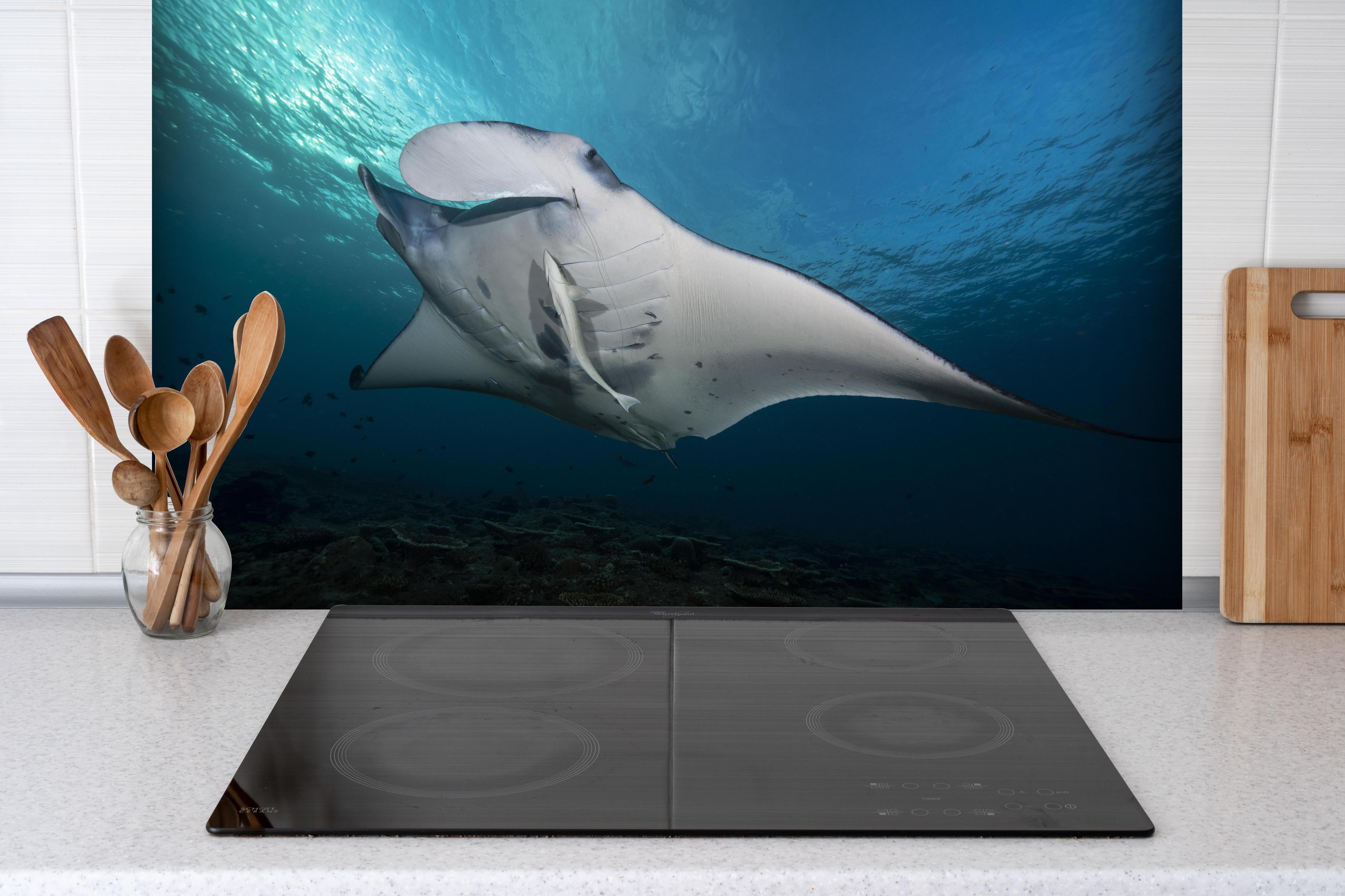 Spritzschutz - Riff-Manta Unterwasser hinter einem Cerankochfeld zwischen Holz-Kochutensilien