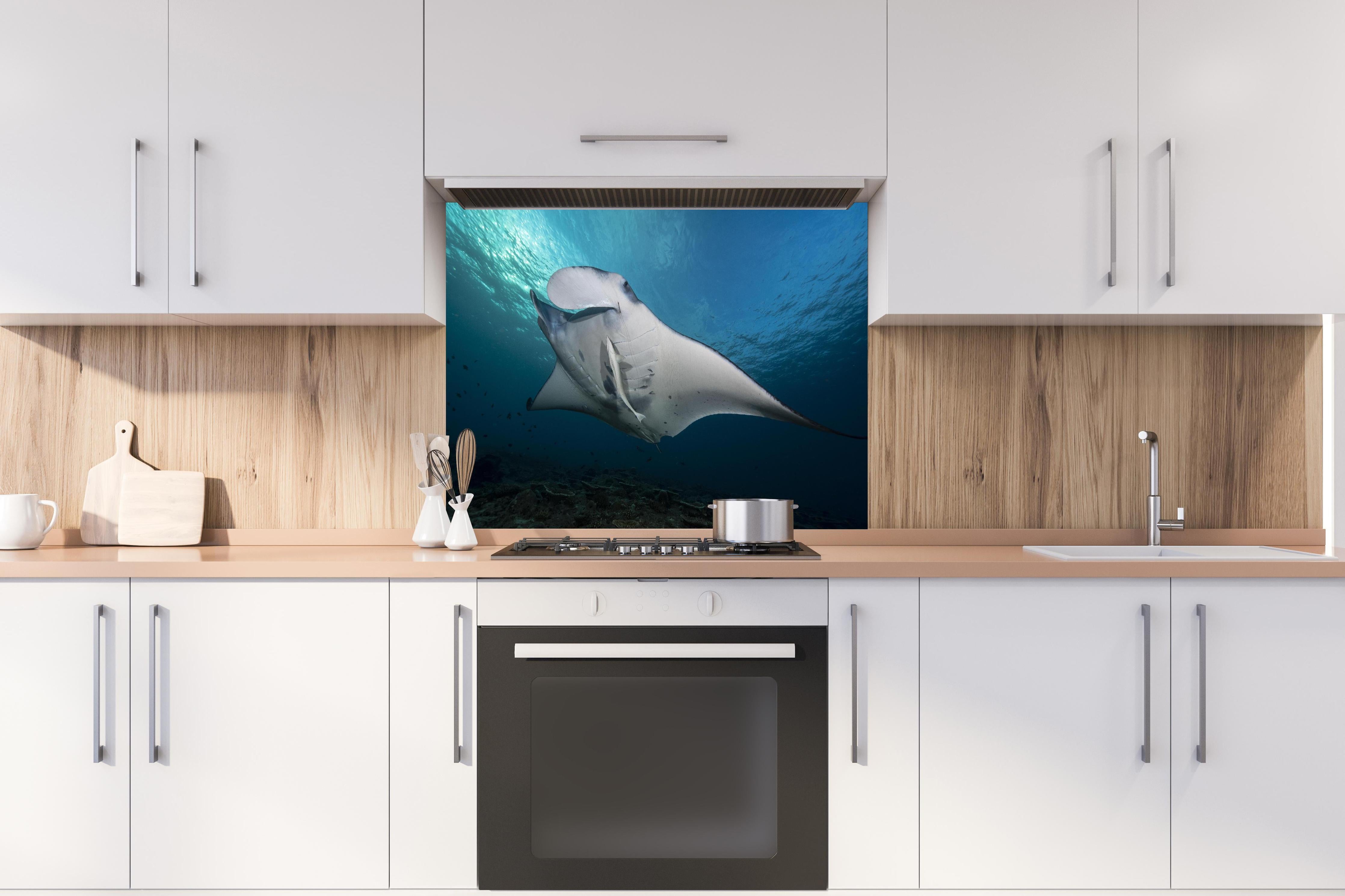 Spritzschutz - Riff-Manta Unterwasser hinter einem Cerankochfeld zwischen Holz-Kochutensilien