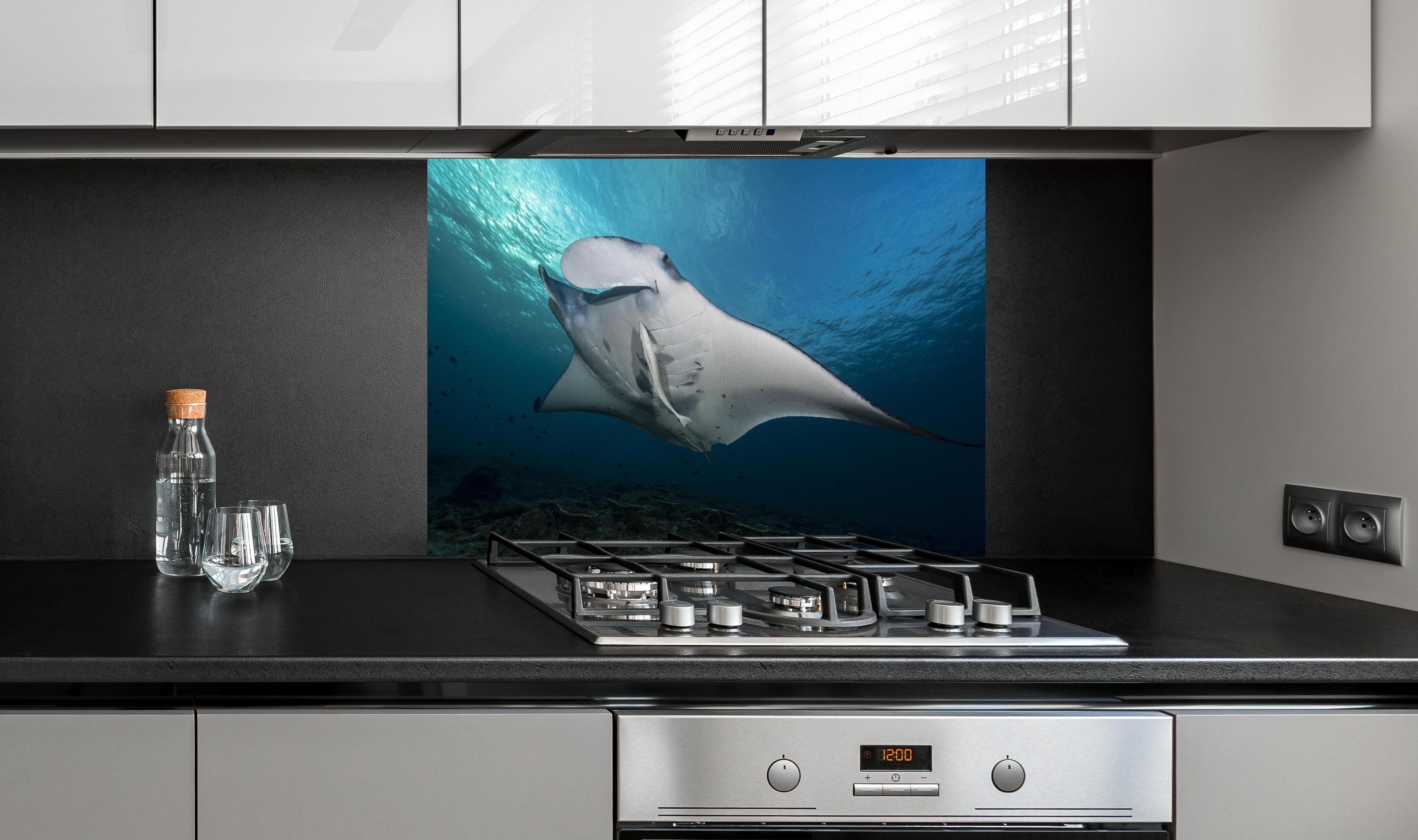 Spritzschutz - Riff-Manta Unterwasser hinter einem Cerankochfeld zwischen Holz-Kochutensilien