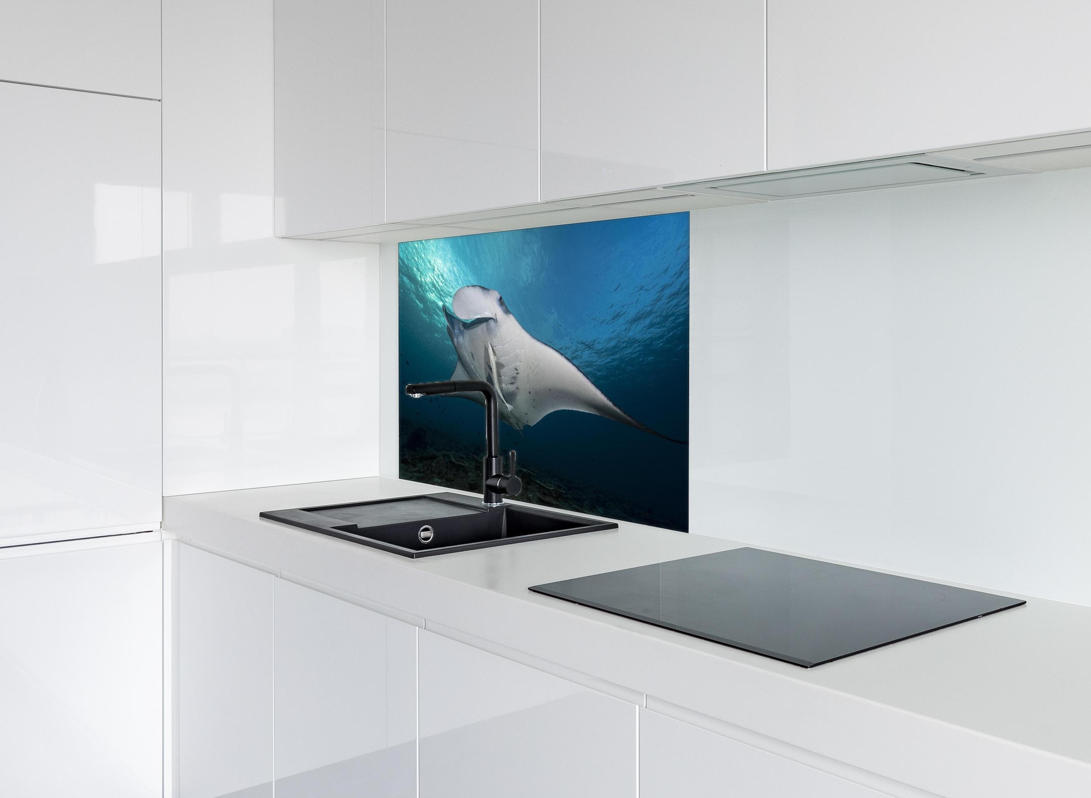 Spritzschutz - Riff-Manta Unterwasser hinter einem Cerankochfeld zwischen Holz-Kochutensilien