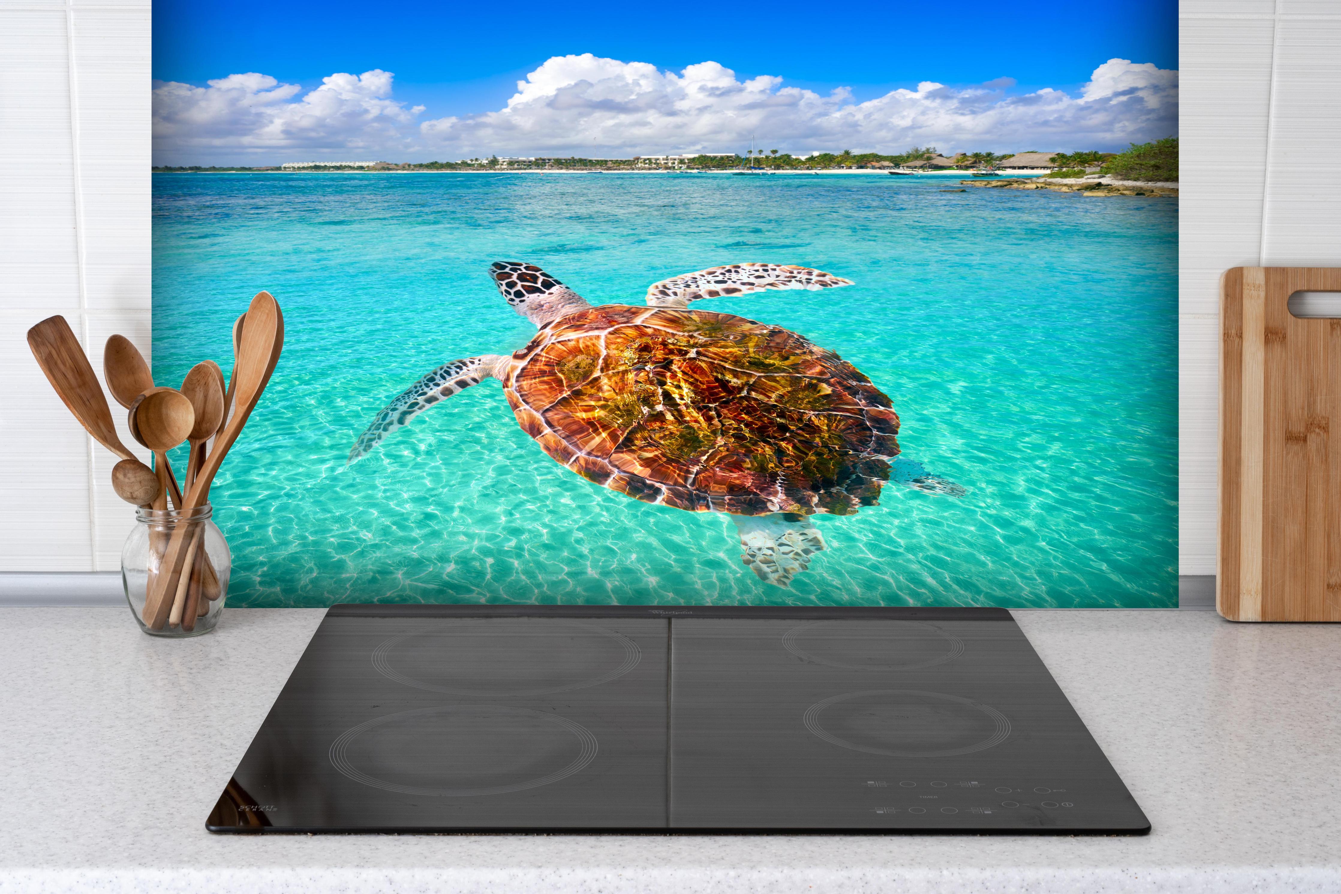 Spritzschutz - Riviera Maya - Mexico hinter einem Cerankochfeld zwischen Holz-Kochutensilien