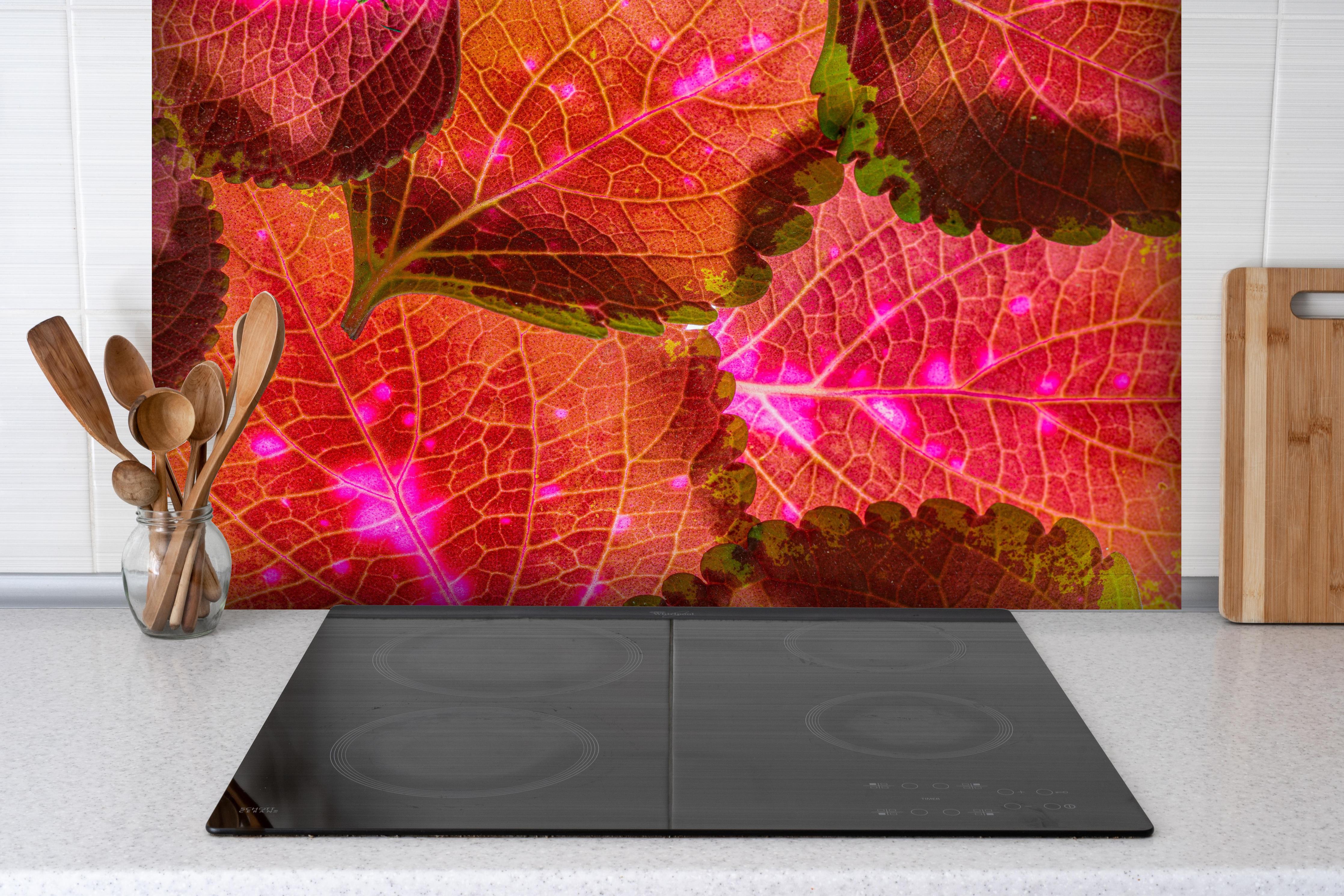 Spritzschutz - Rötliche Blätter im Detail hinter einem Cerankochfeld zwischen Holz-Kochutensilien
