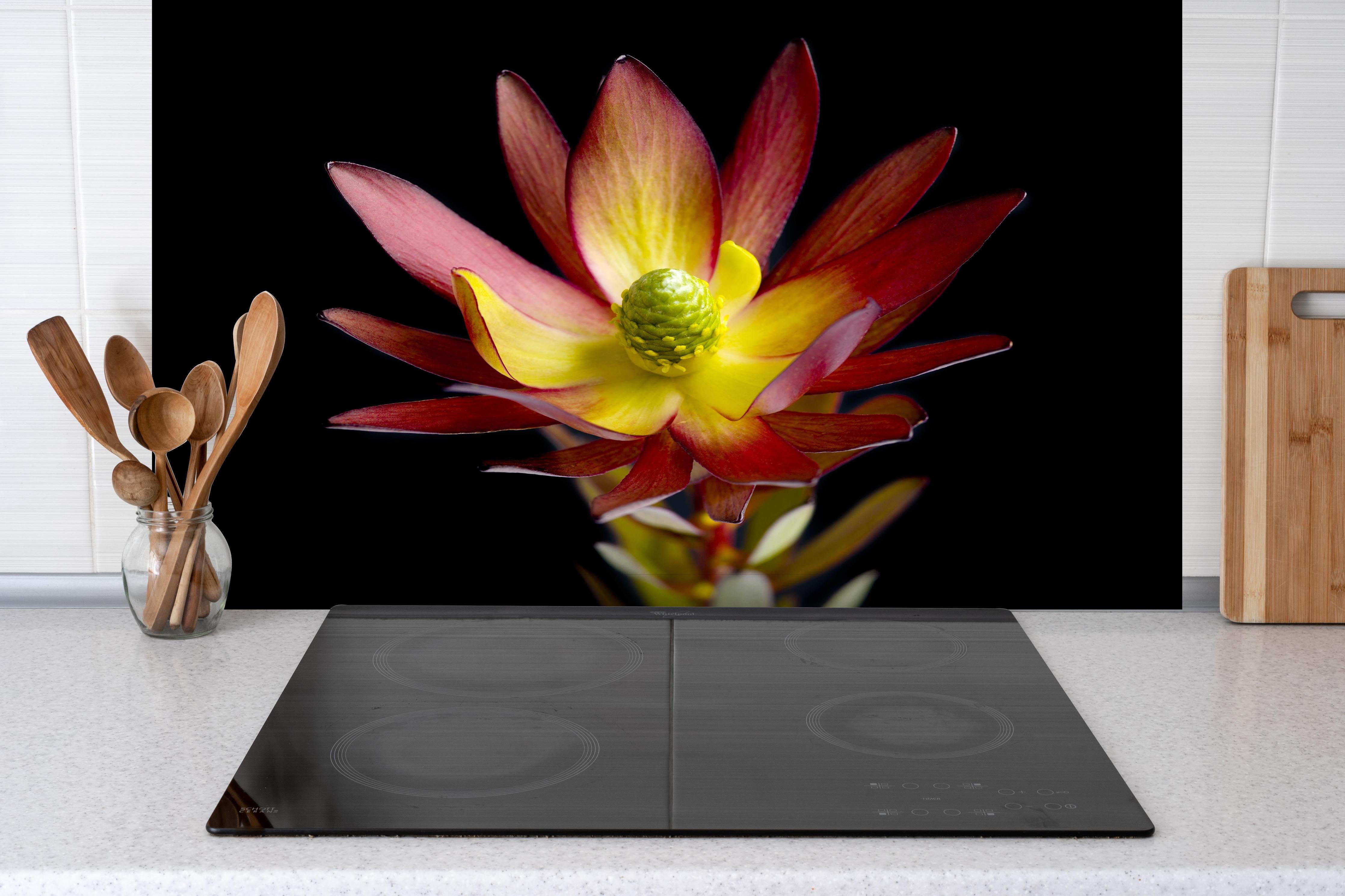 Spritzschutz - Rötliche aufblühende Lotosblume hinter einem Cerankochfeld zwischen Holz-Kochutensilien