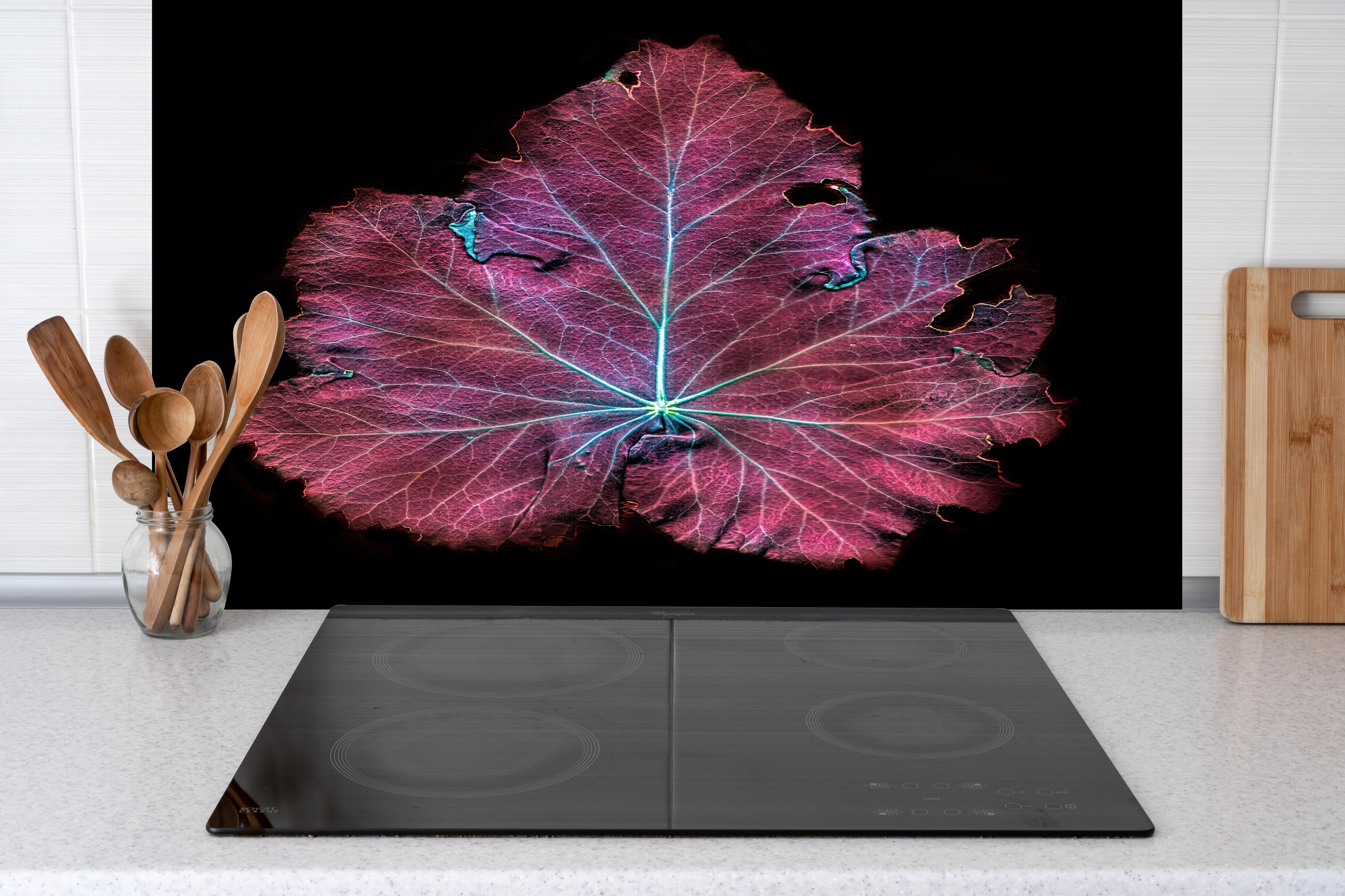 Spritzschutz - Rötliches Blatt auf schwarzem Hintergrund hinter einem Cerankochfeld zwischen Holz-Kochutensilien