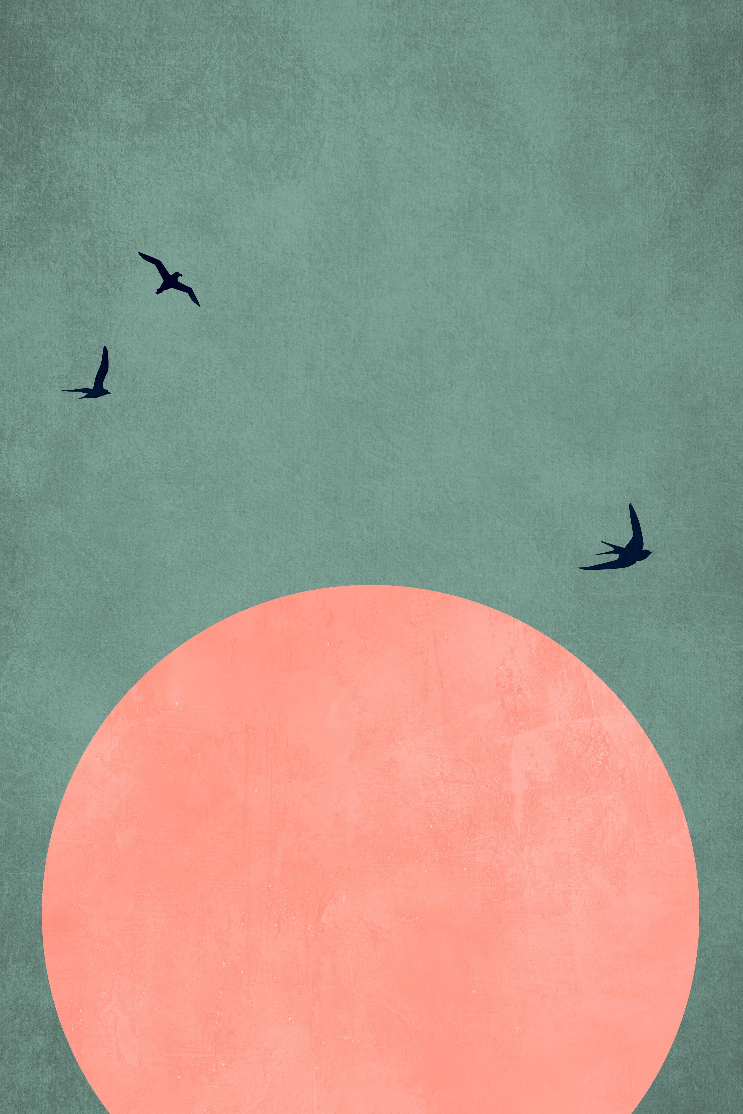 Spritzschutz-Rosa Dämmerung - Gemälde