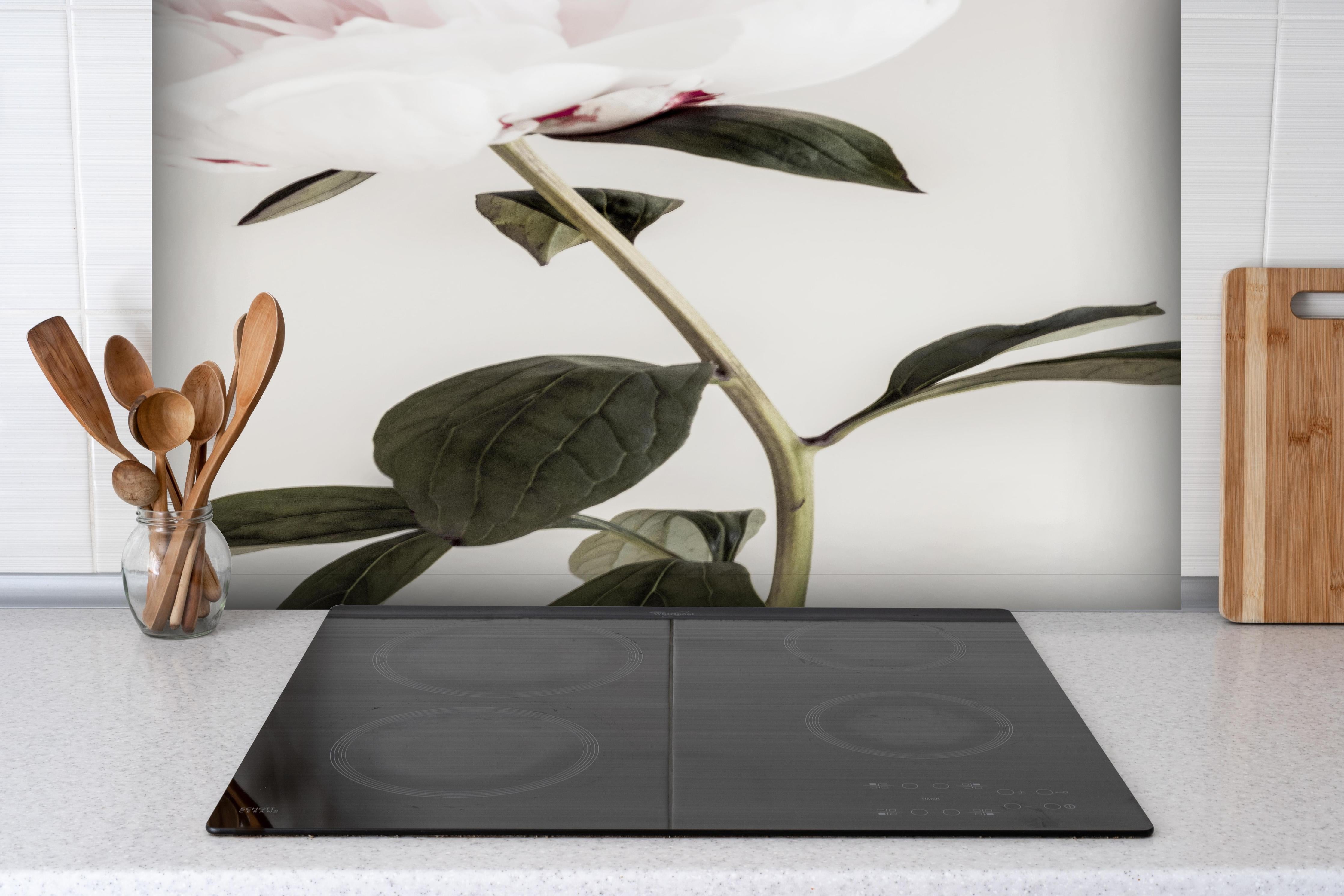 Spritzschutz - Rosa Pfingstrose - Nahaufnahme hinter einem Cerankochfeld zwischen Holz-Kochutensilien