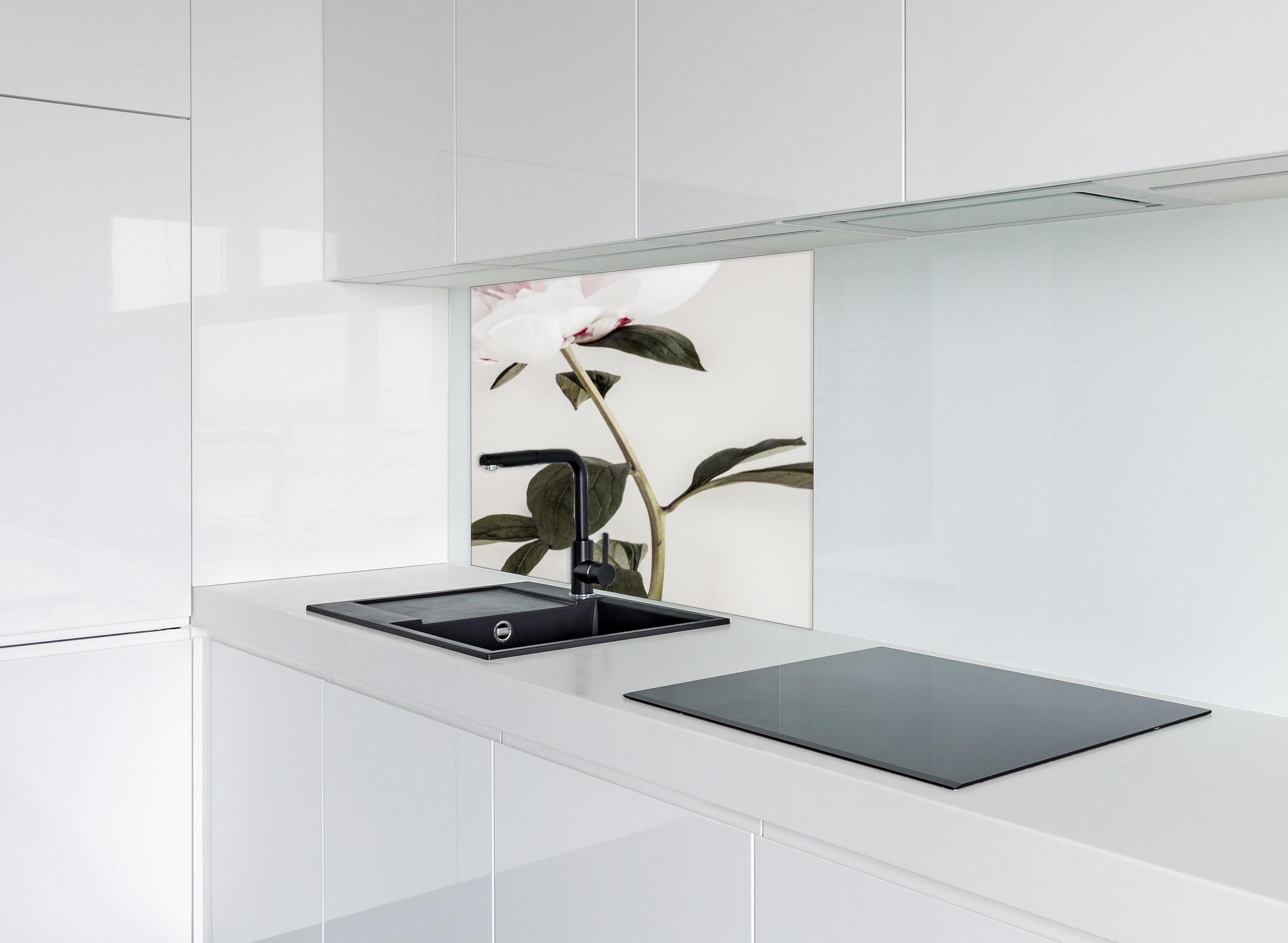 Spritzschutz - Rosa Pfingstrose - Nahaufnahme hinter einem Cerankochfeld zwischen Holz-Kochutensilien