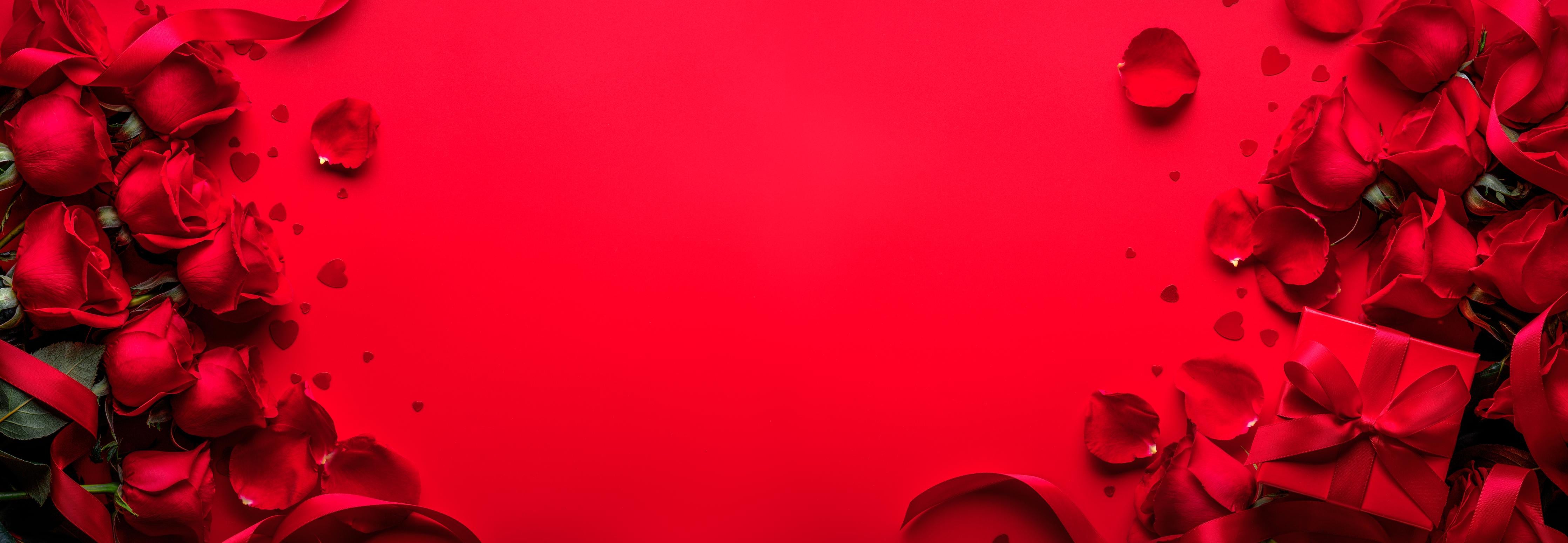 Spritzschutz-Rosengeschenk auf rotem Hintergrund