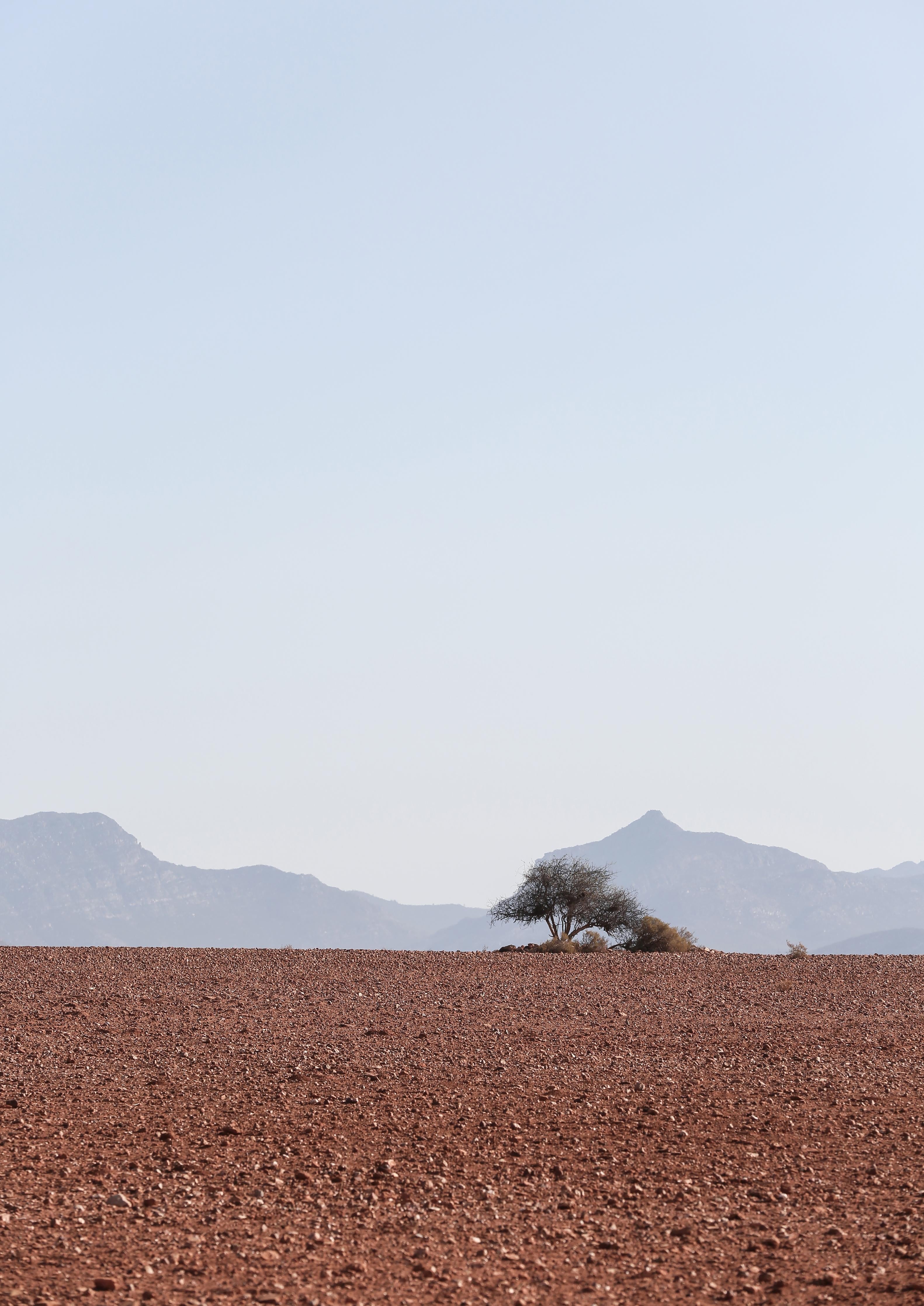 Spritzschutz-Rote Wüstenlandschaft mit klarem Himmelsblick