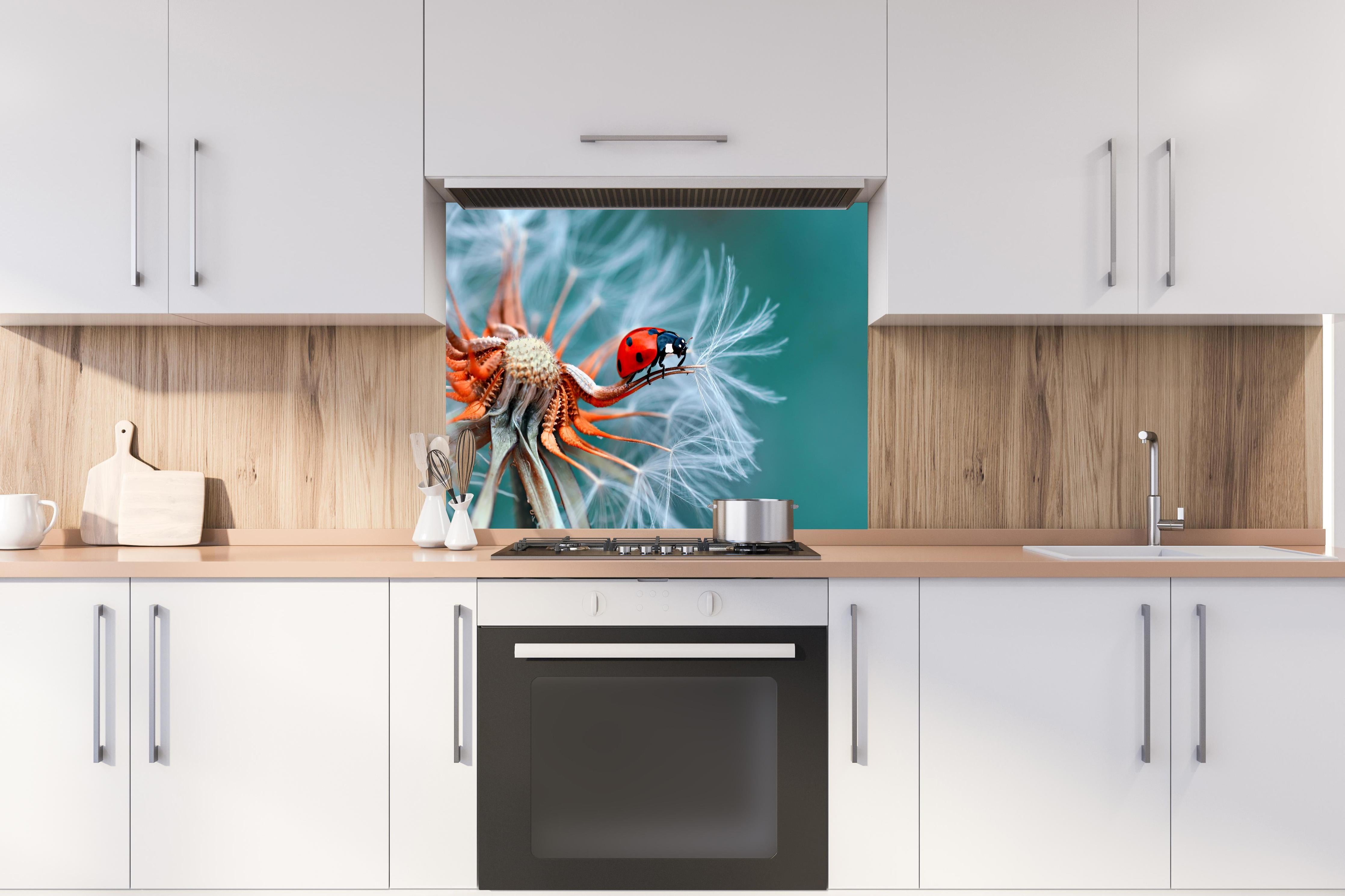 Spritzschutz - Roter Marienkäfer auf weißer Pusteblume hinter einem Cerankochfeld zwischen Holz-Kochutensilien