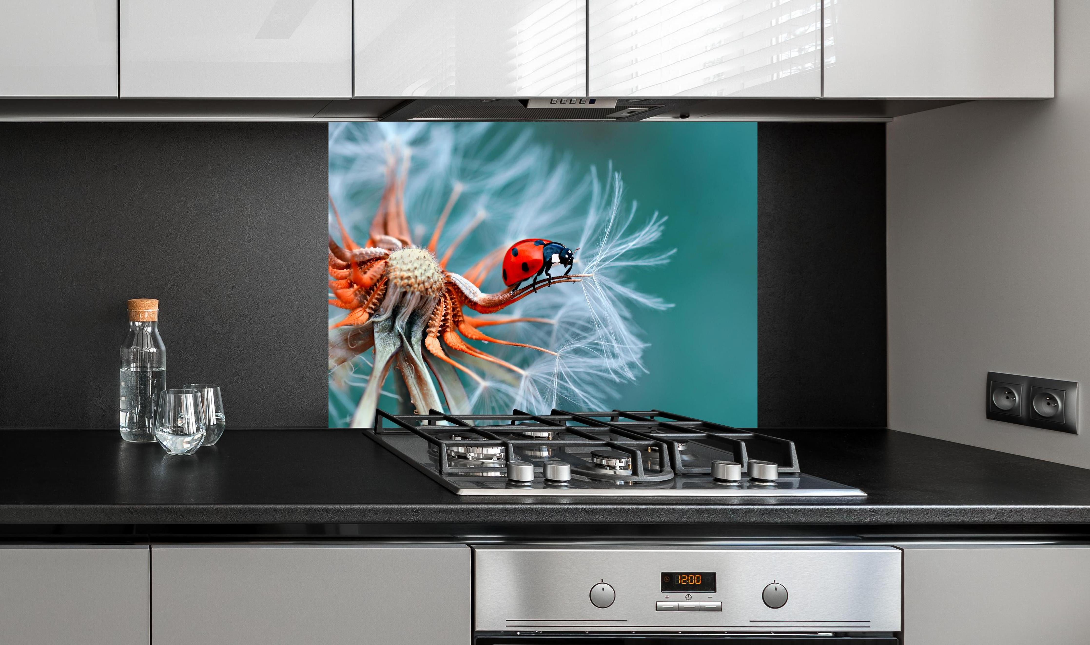 Spritzschutz - Roter Marienkäfer auf weißer Pusteblume hinter einem Cerankochfeld zwischen Holz-Kochutensilien