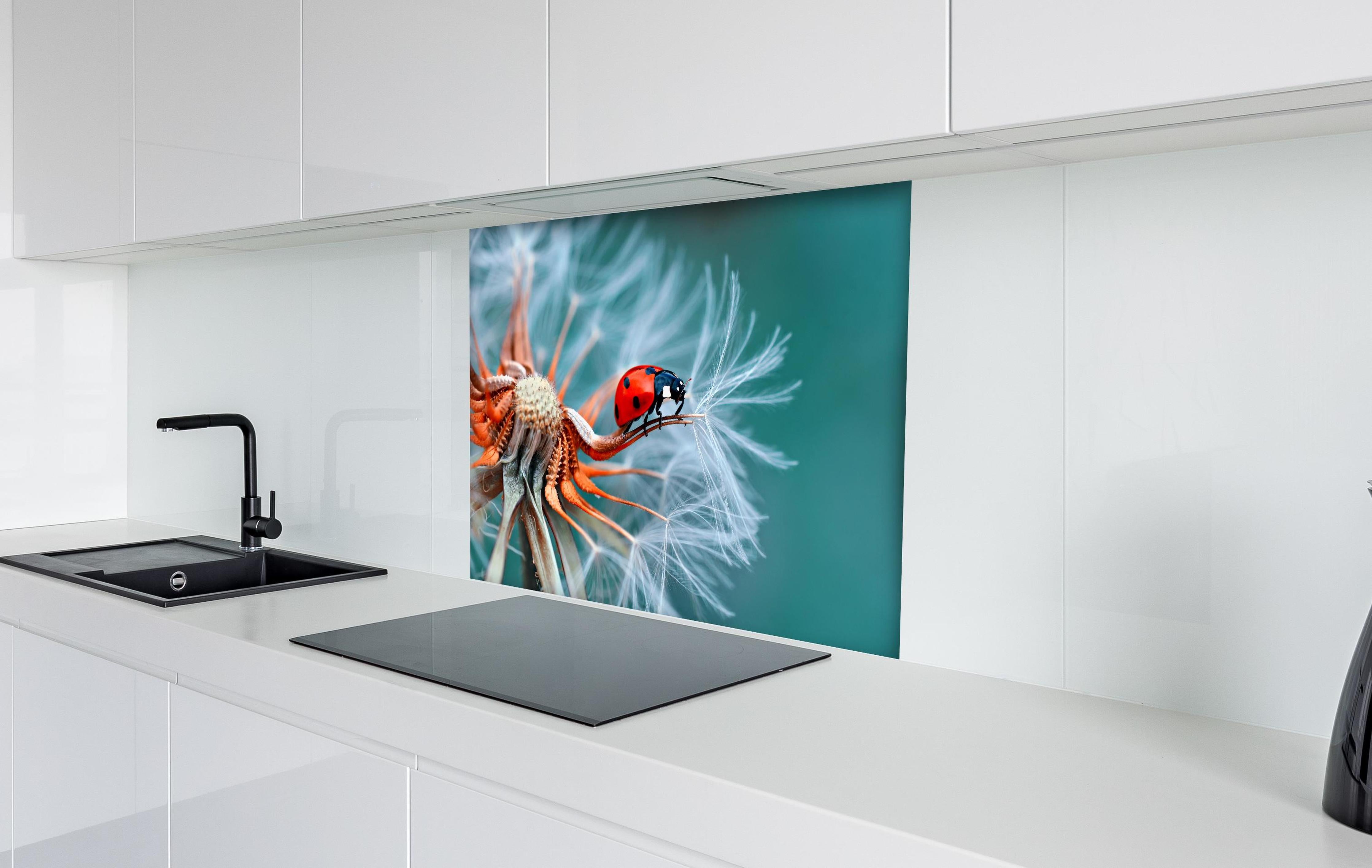 Spritzschutz - Roter Marienkäfer auf weißer Pusteblume hinter einem Cerankochfeld zwischen Holz-Kochutensilien