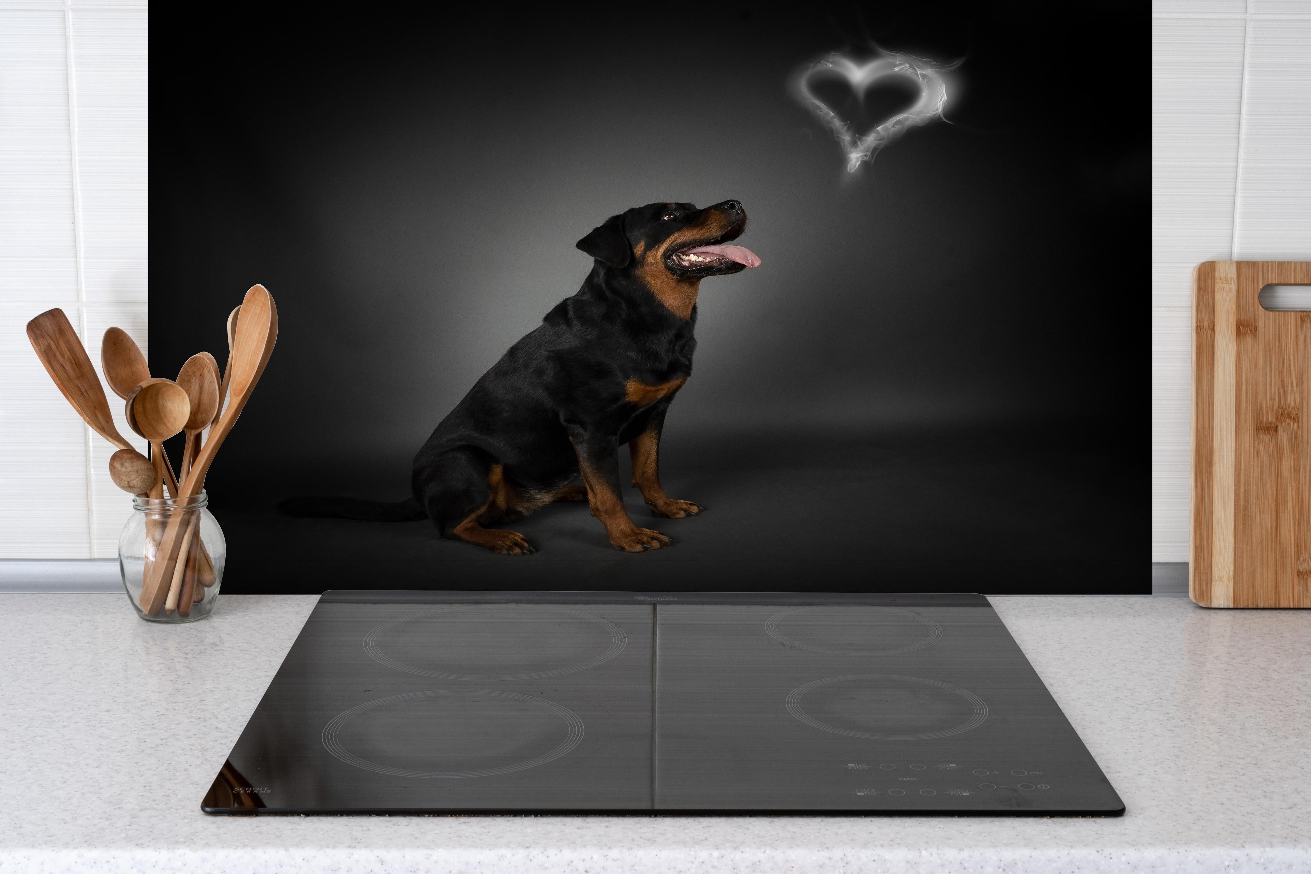 Spritzschutz - Rottweiler sitzend mit Blick auf Herz hinter einem Cerankochfeld zwischen Holz-Kochutensilien