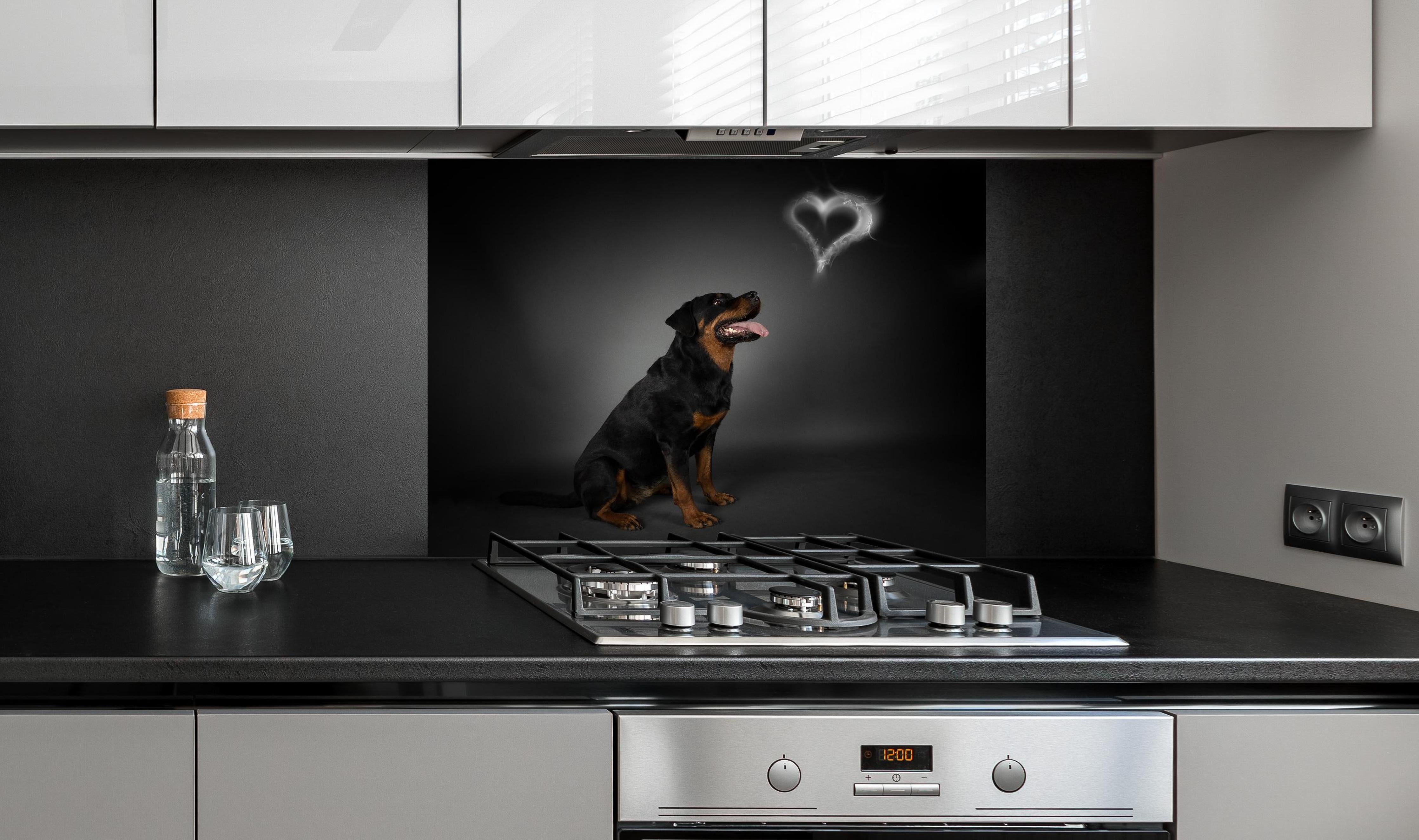 Spritzschutz - Rottweiler sitzend mit Blick auf Herz hinter einem Cerankochfeld zwischen Holz-Kochutensilien