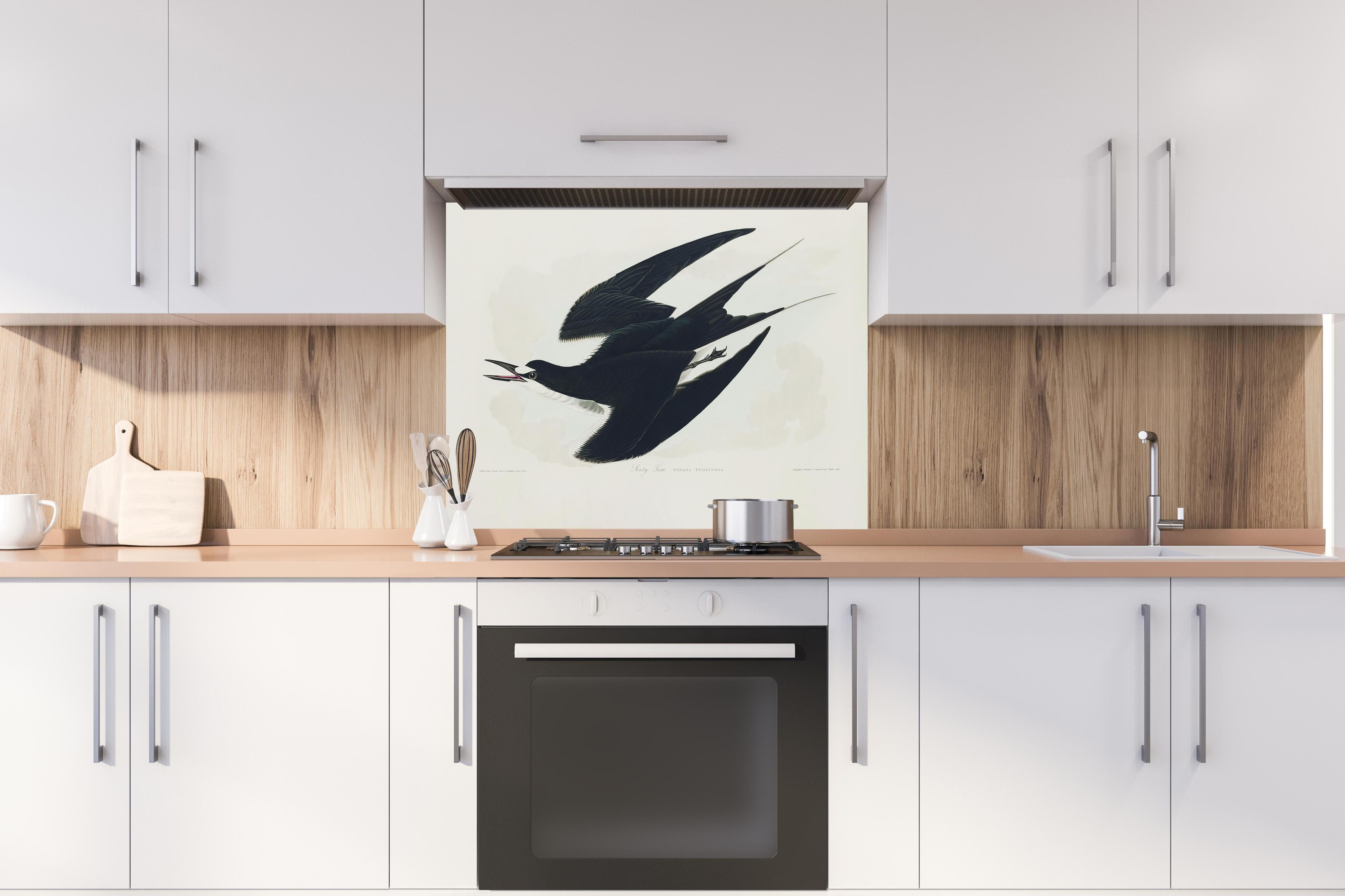 Spritzschutz - Rußseeschwalbe Portrait - John James Audubon hinter einem Cerankochfeld zwischen Holz-Kochutensilien