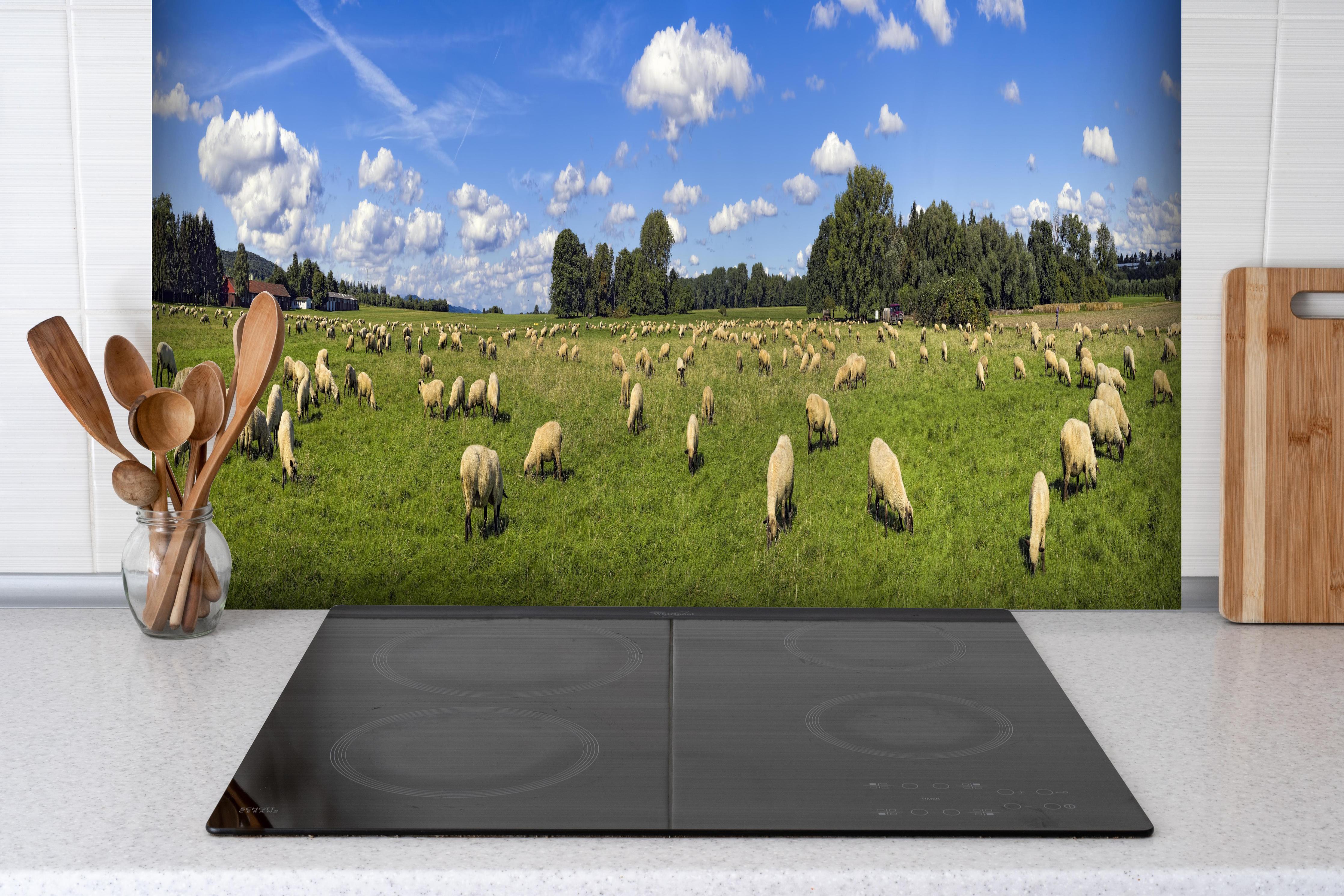 Spritzschutz - Schafherde Panorama hinter einem Cerankochfeld zwischen Holz-Kochutensilien